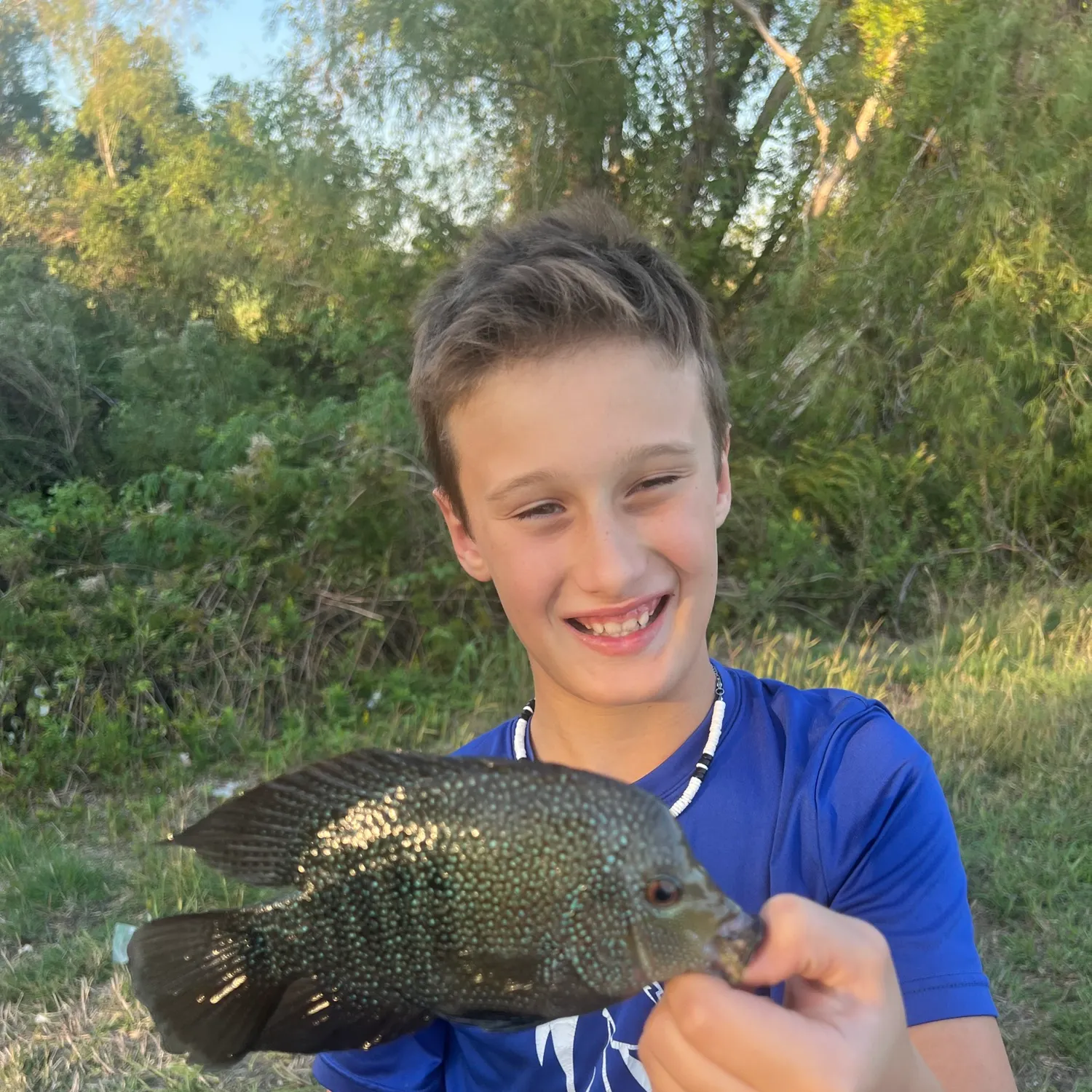 The most recent Rio Grande cichlid catches on Fishbrain