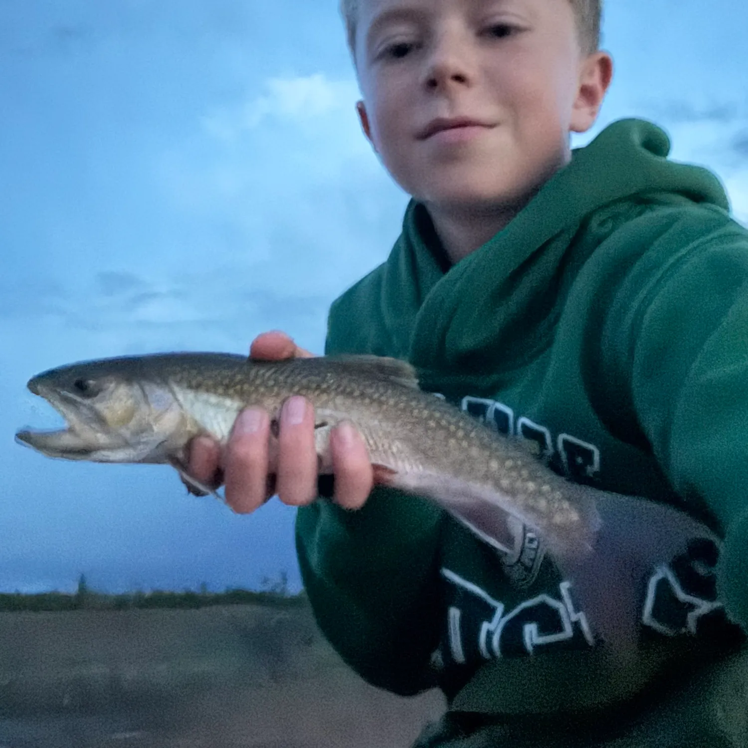 Lake char caught on Fishbrain