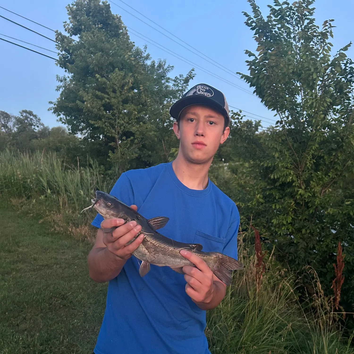 The most recent White bullhead catches on Fishbrain