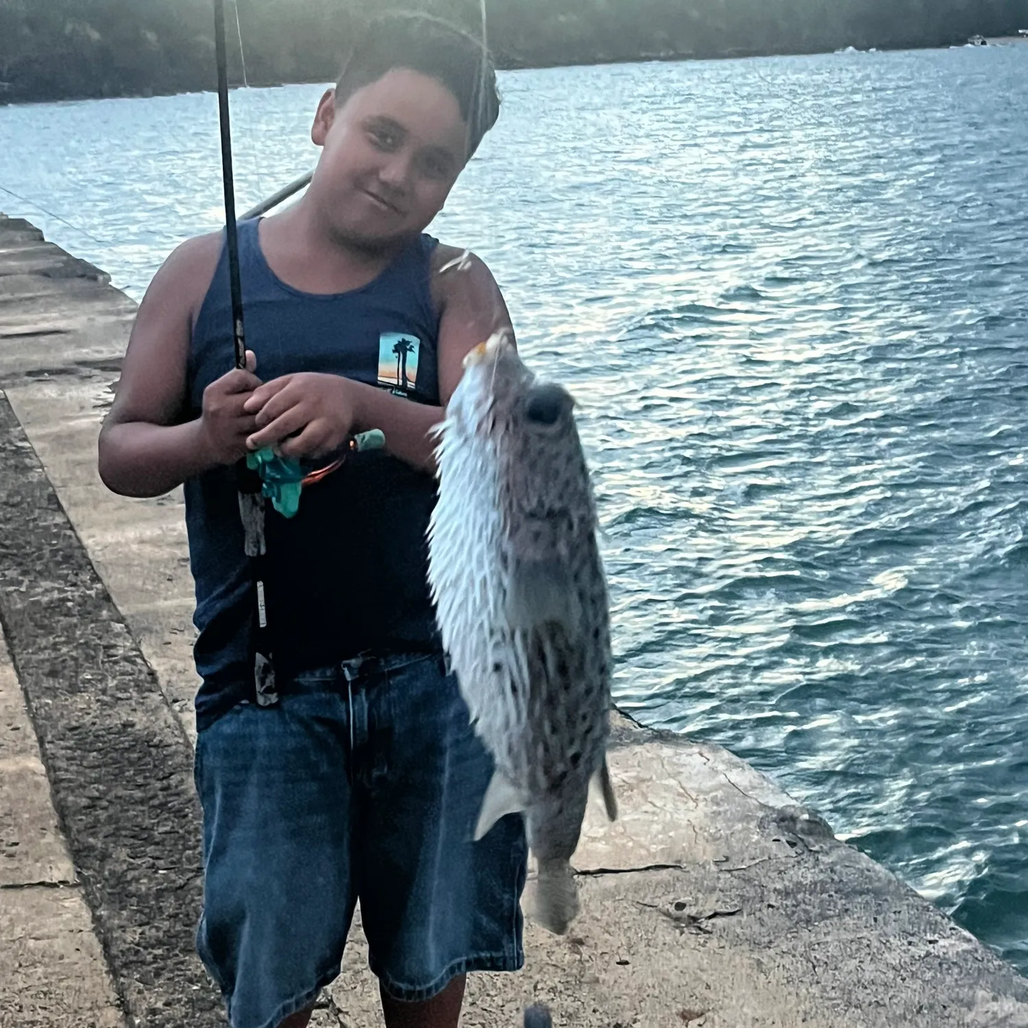 The most recent White-spotted puffer catches on Fishbrain