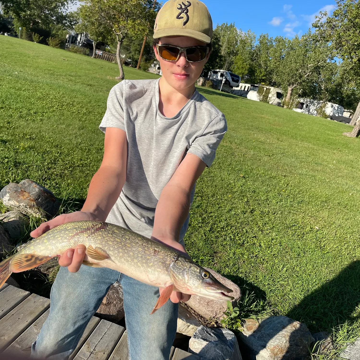 Northern pike caught on Fishbrain