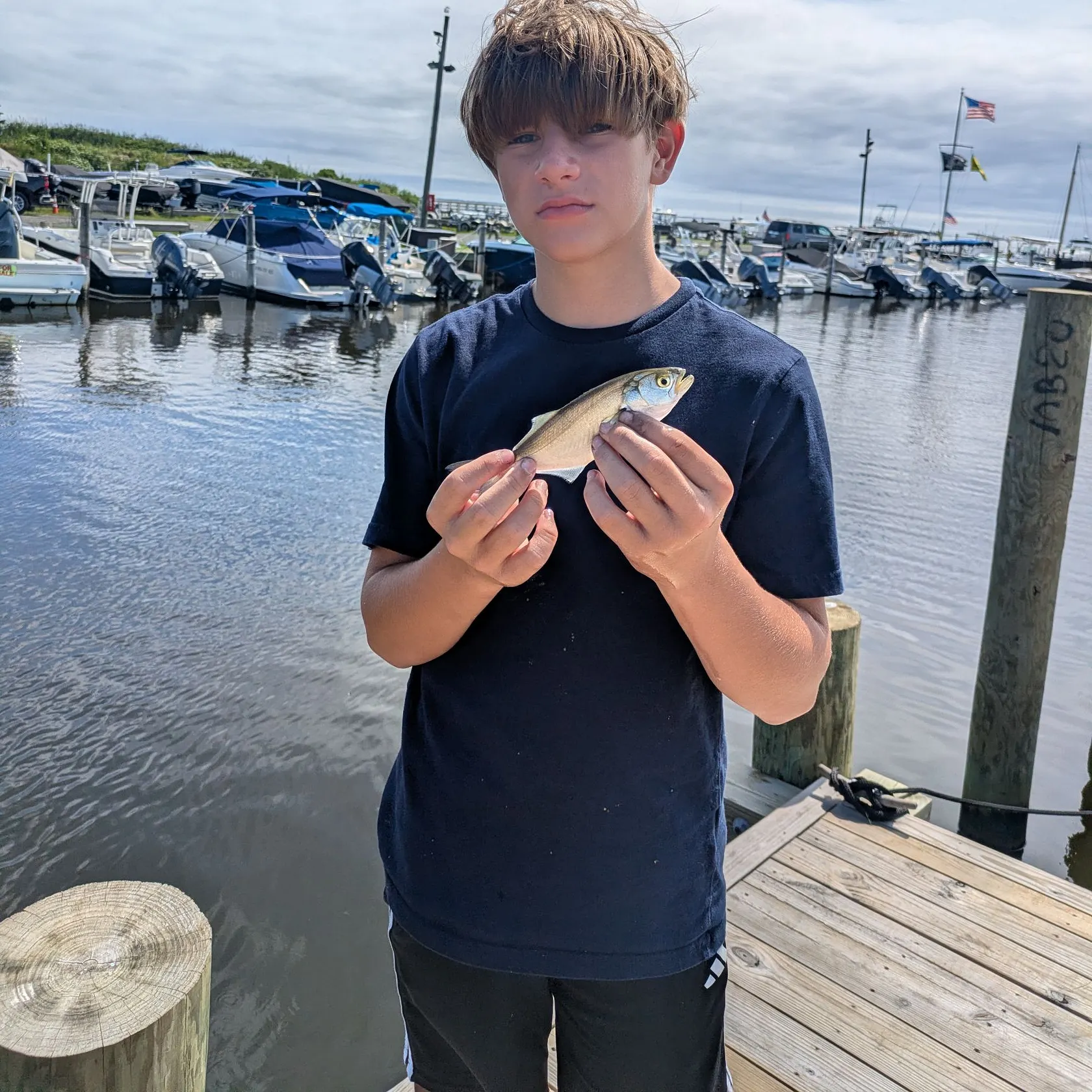 Bluefish caught on Fishbrain