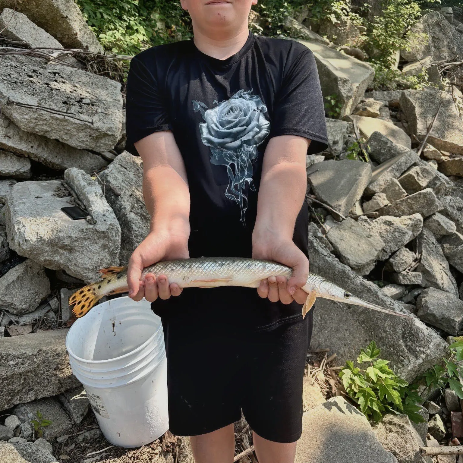 Longnose gar caught on Fishbrain
