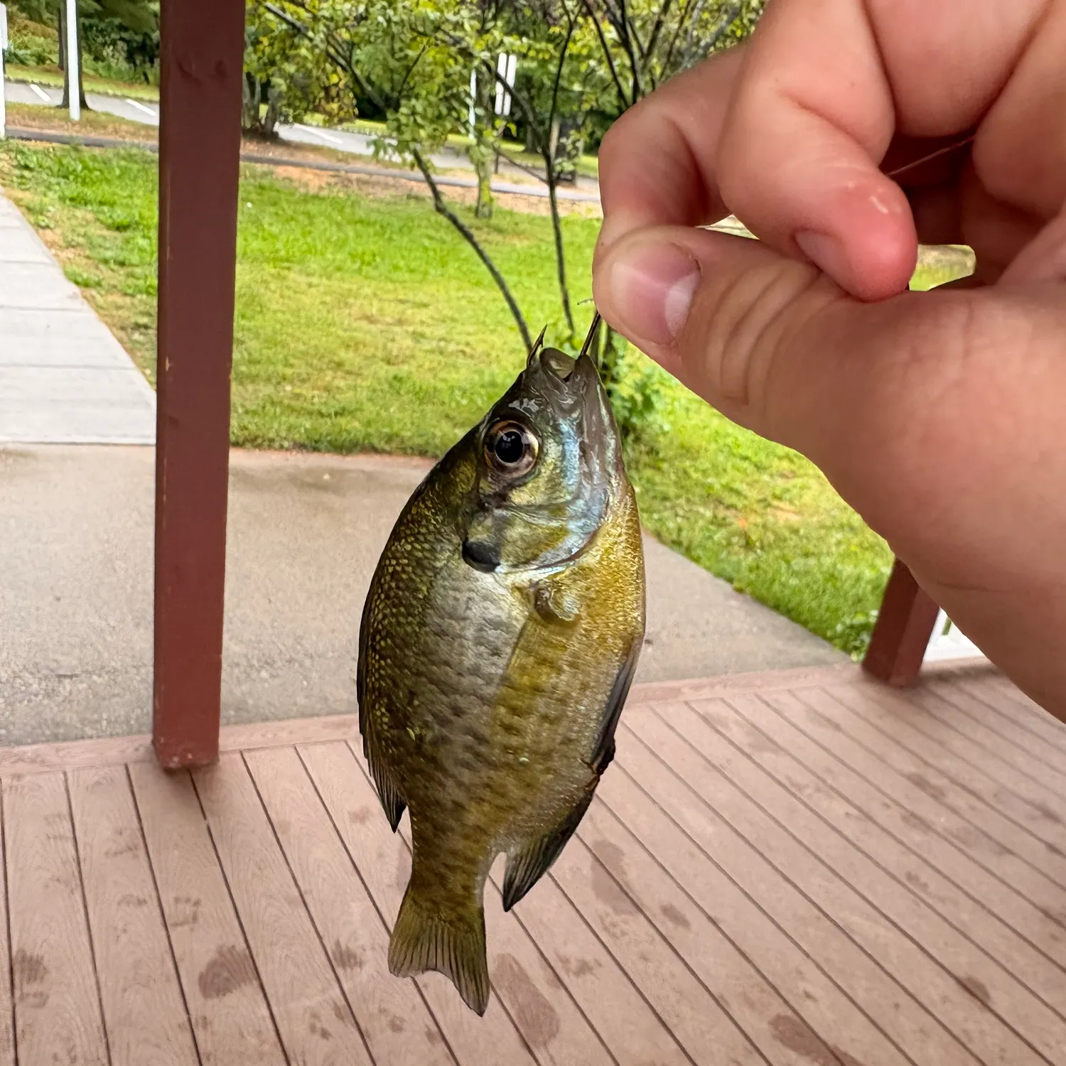 catch