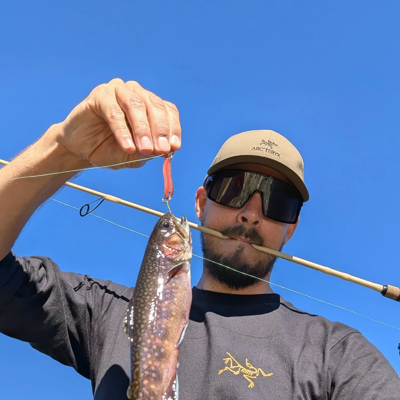 Brook trout caught on Fishbrain