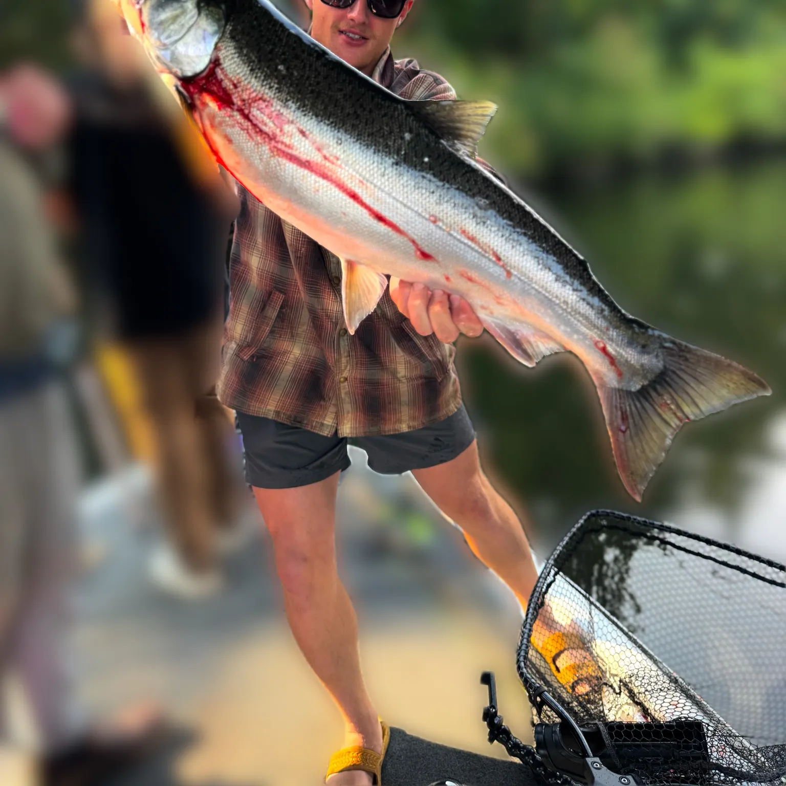 Coho salmon caught on Fishbrain