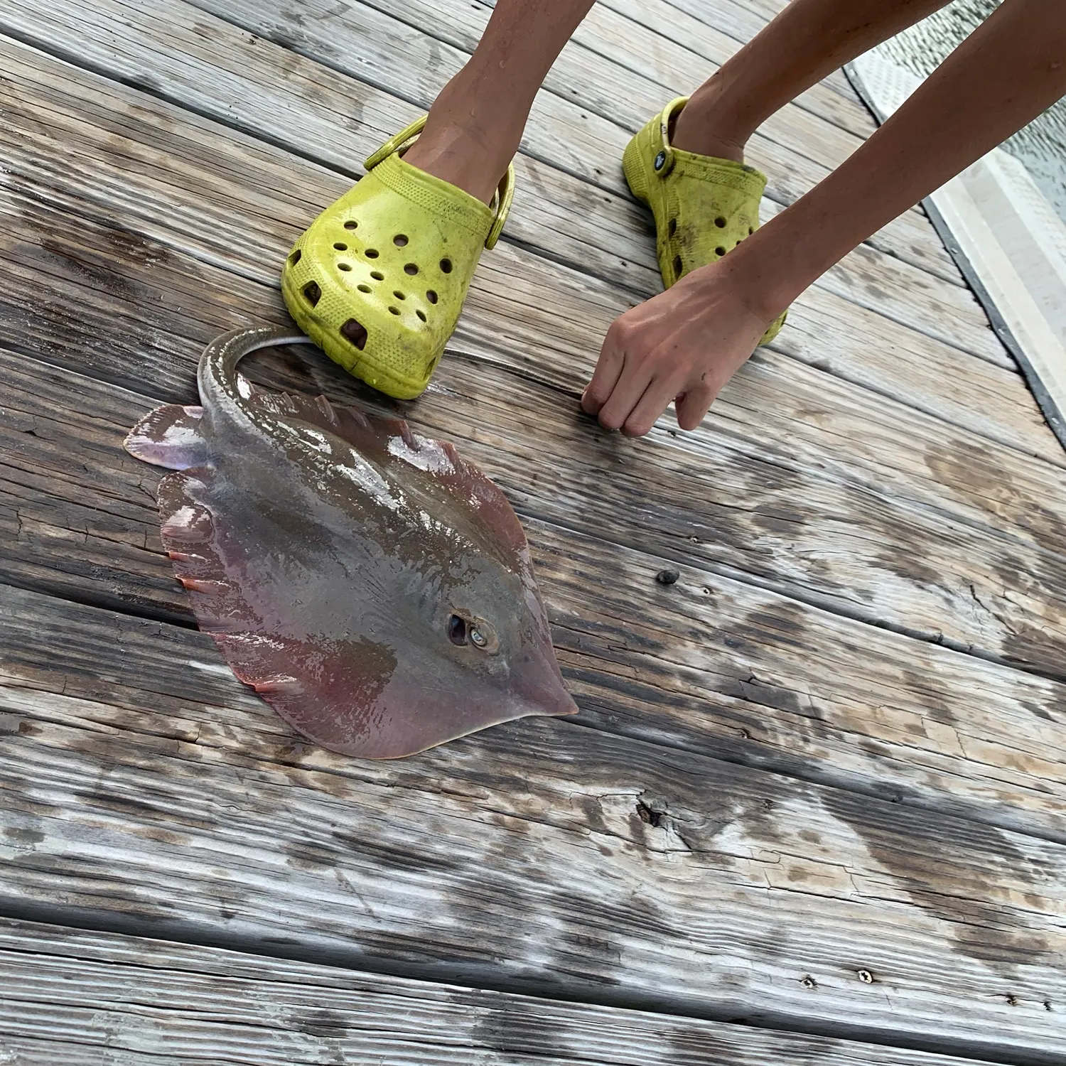 catch
