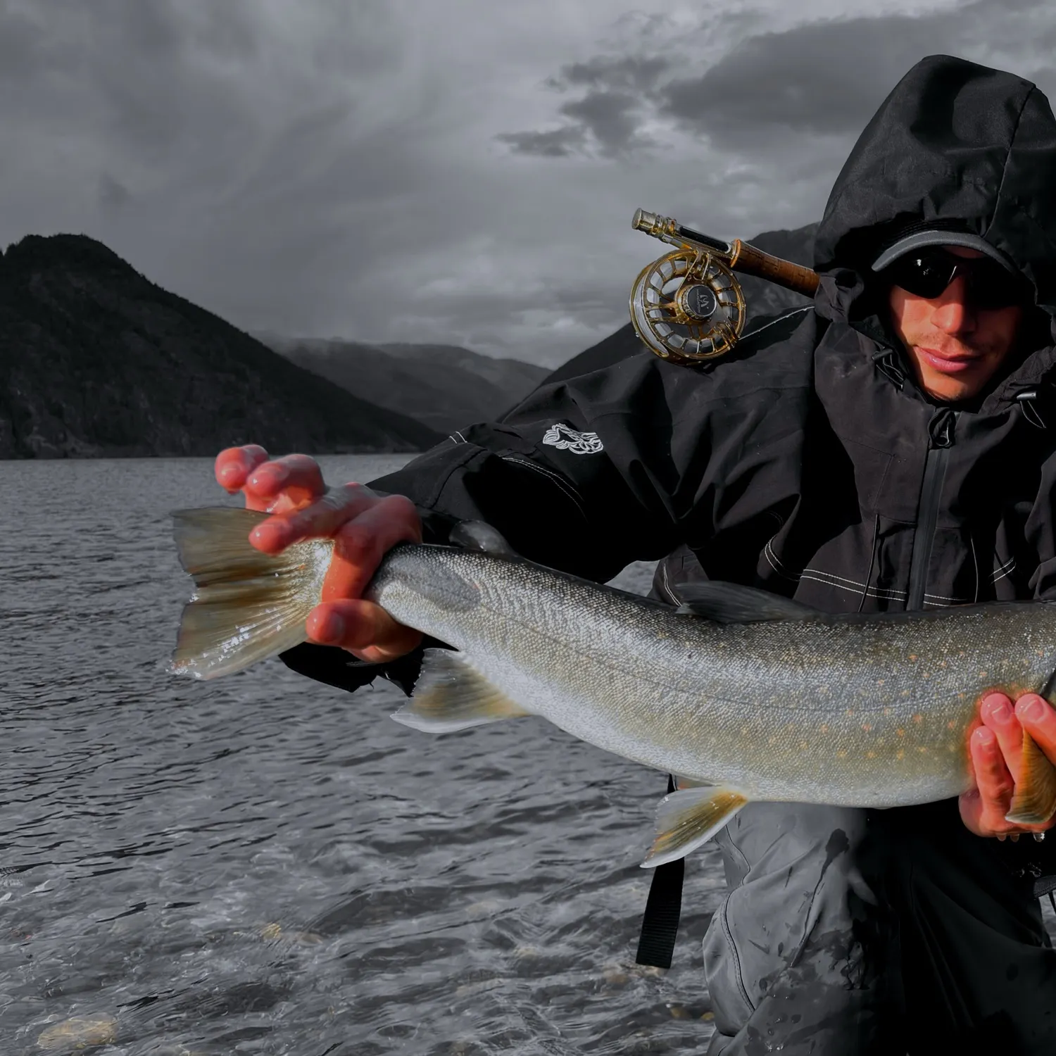 Bull trout caught on Fishbrain