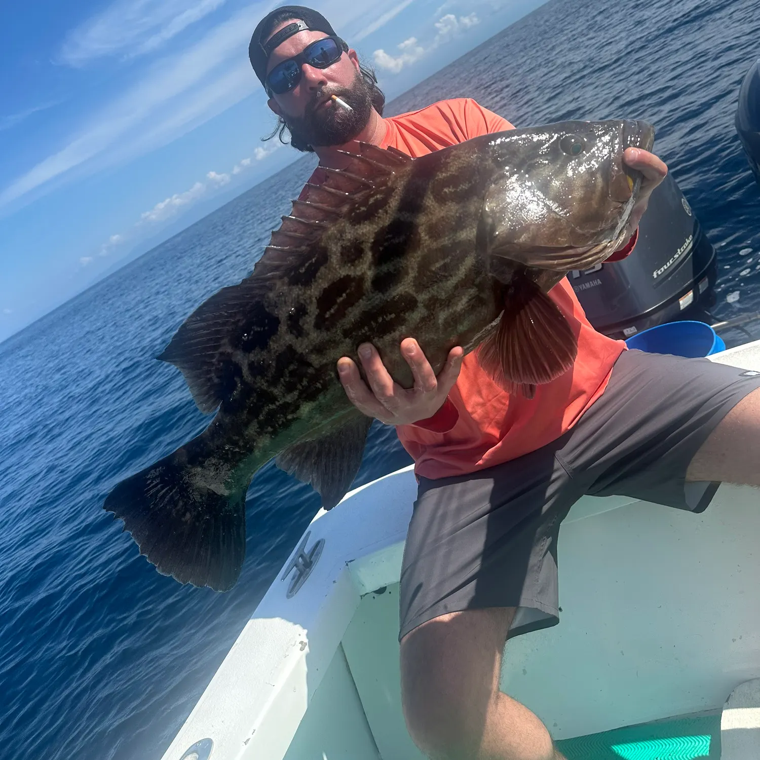 The most recent Broomtail grouper catches on Fishbrain