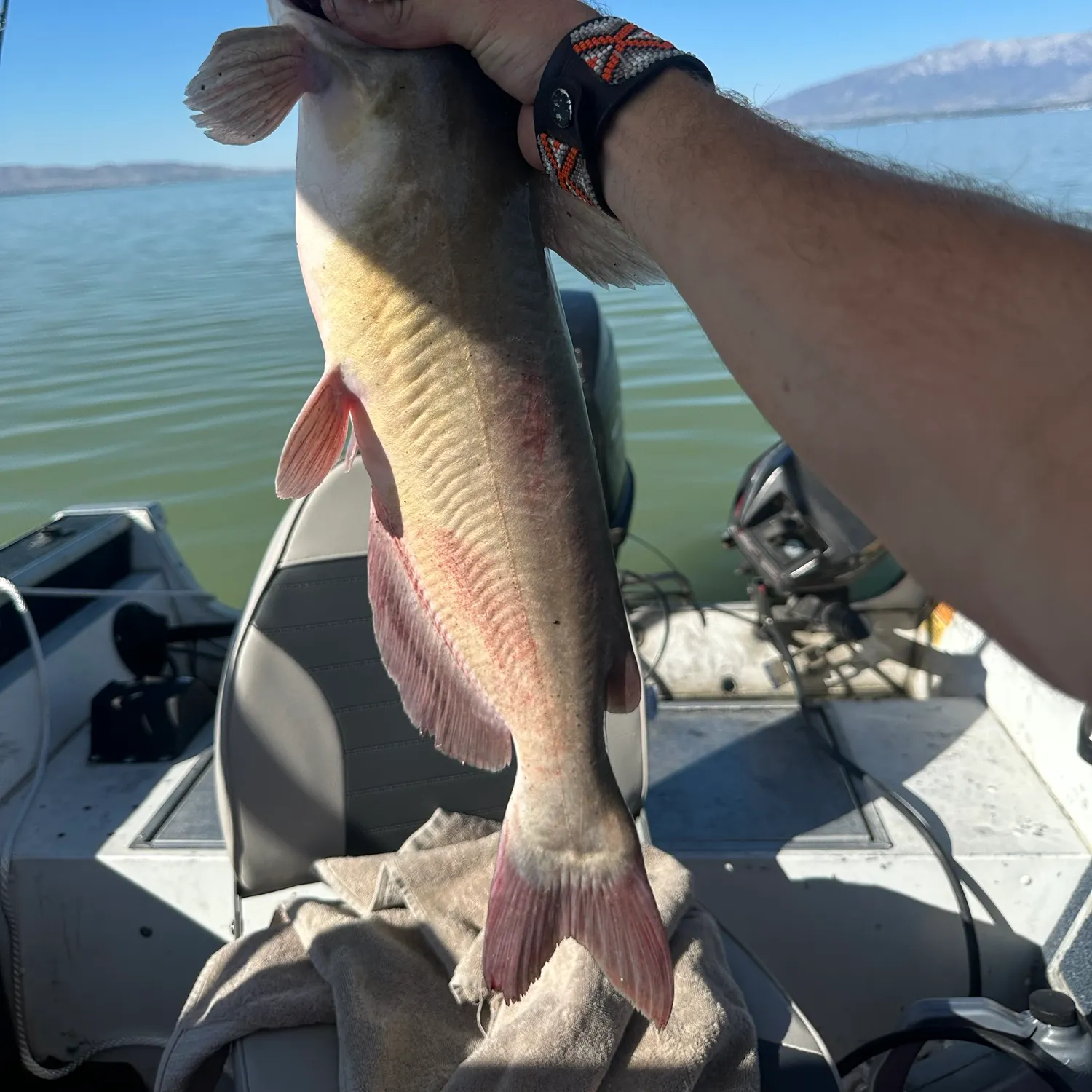 catch