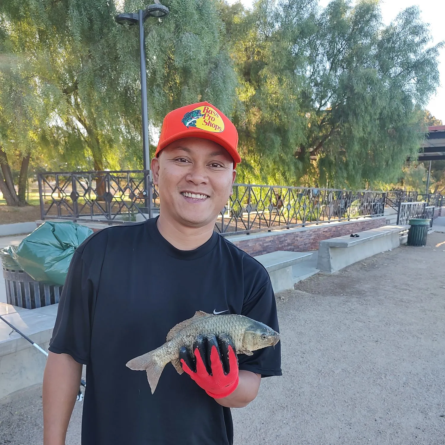 The most recent River carpsucker catches on Fishbrain