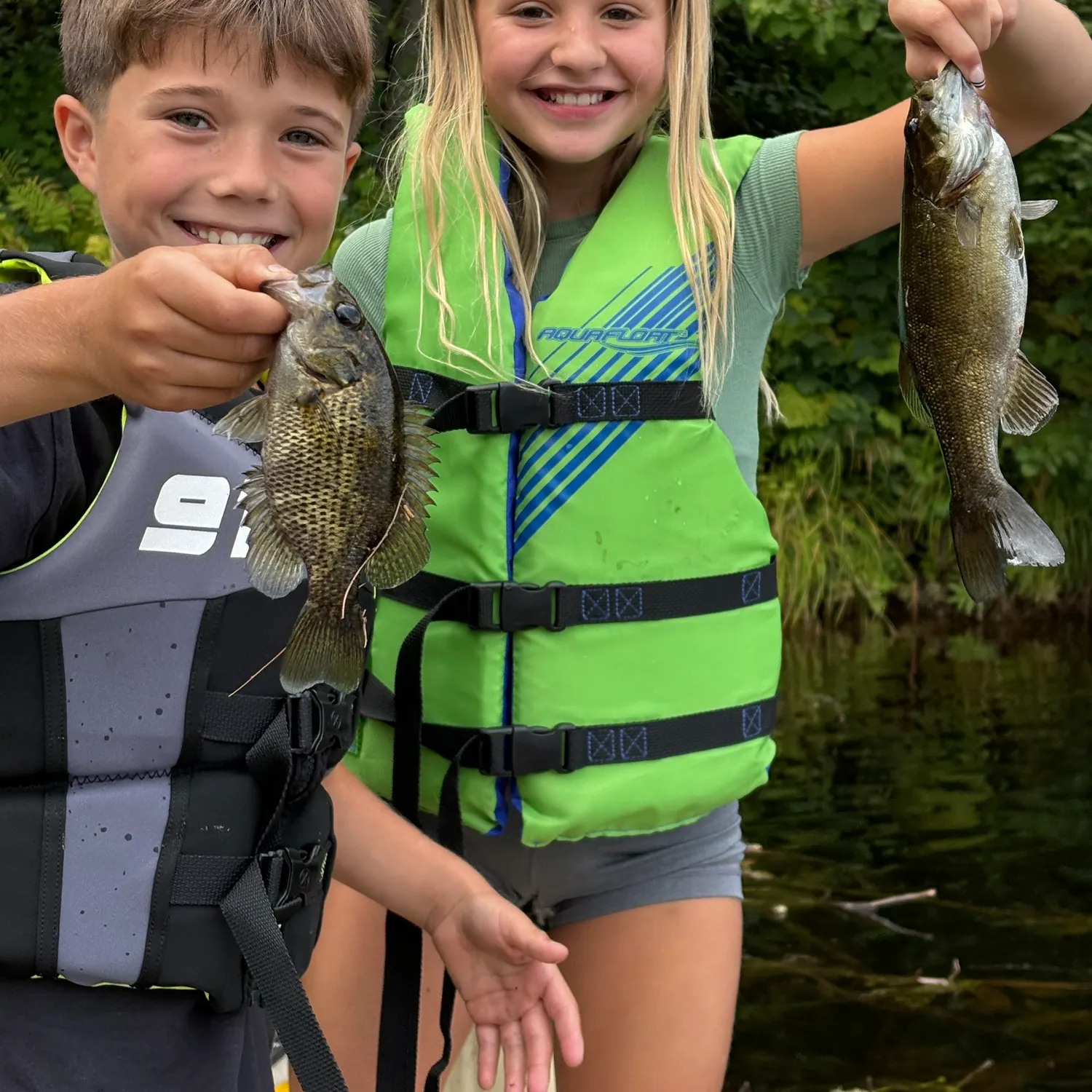 Rock bass caught on Fishbrain