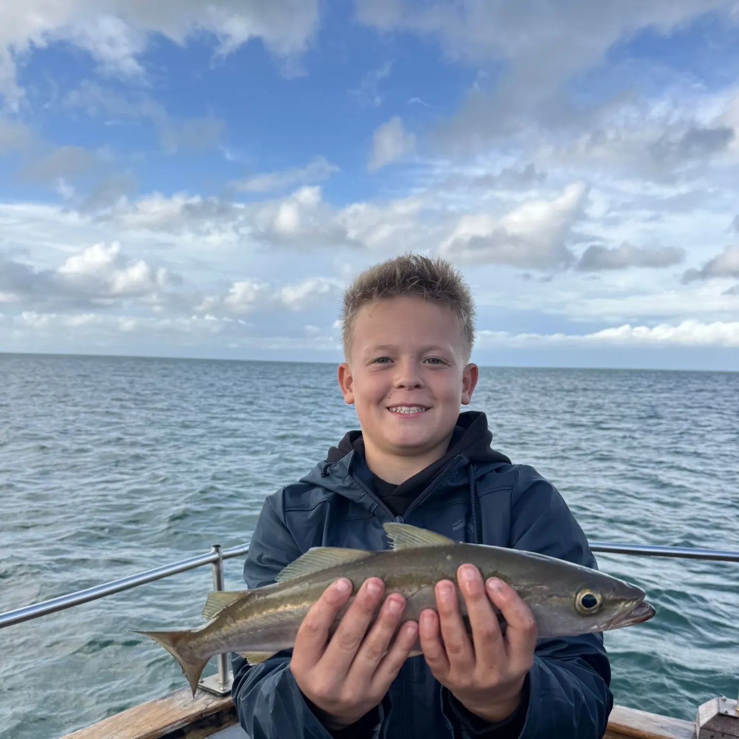 Atlantic pollock caught on Fishbrain