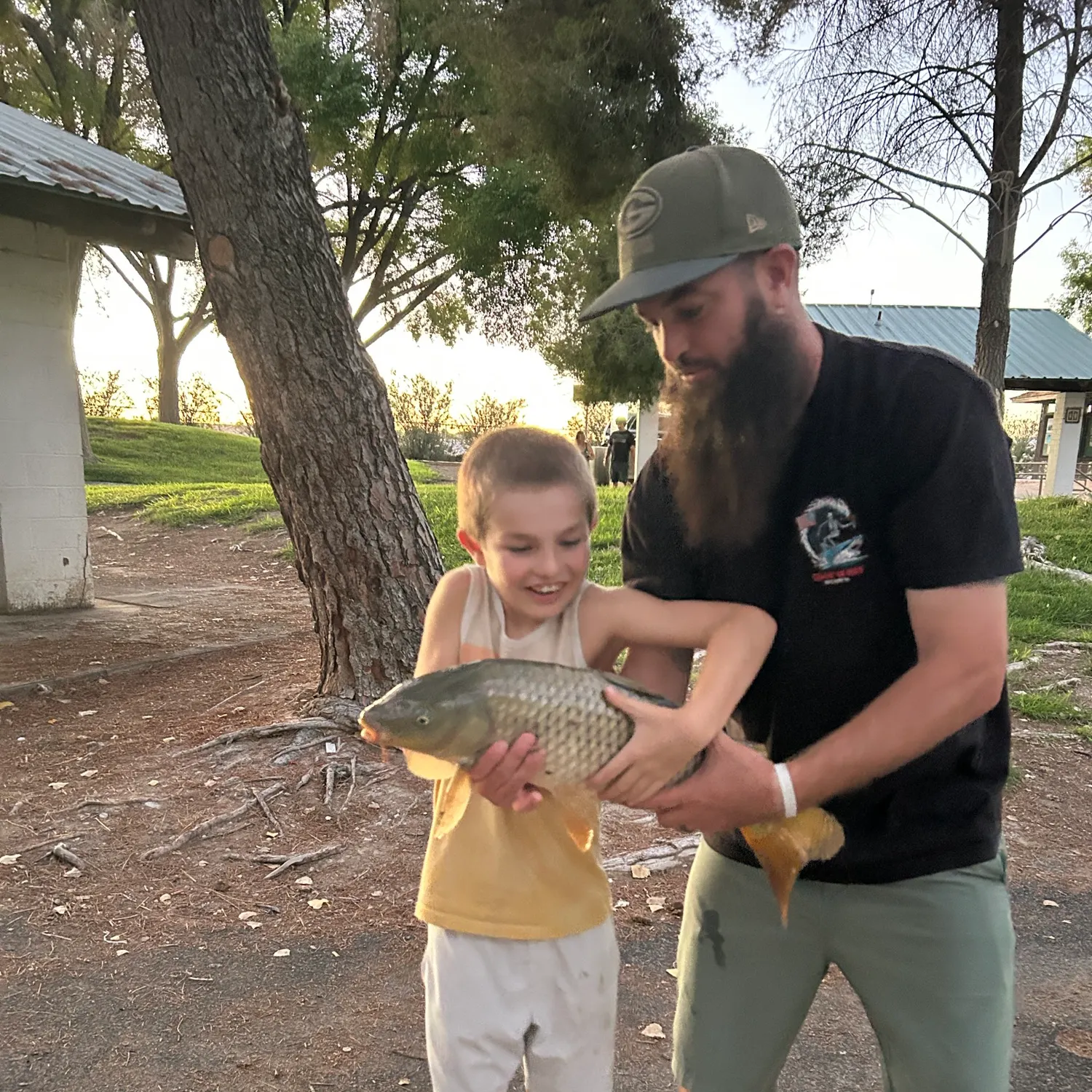 Common carp caught on Fishbrain