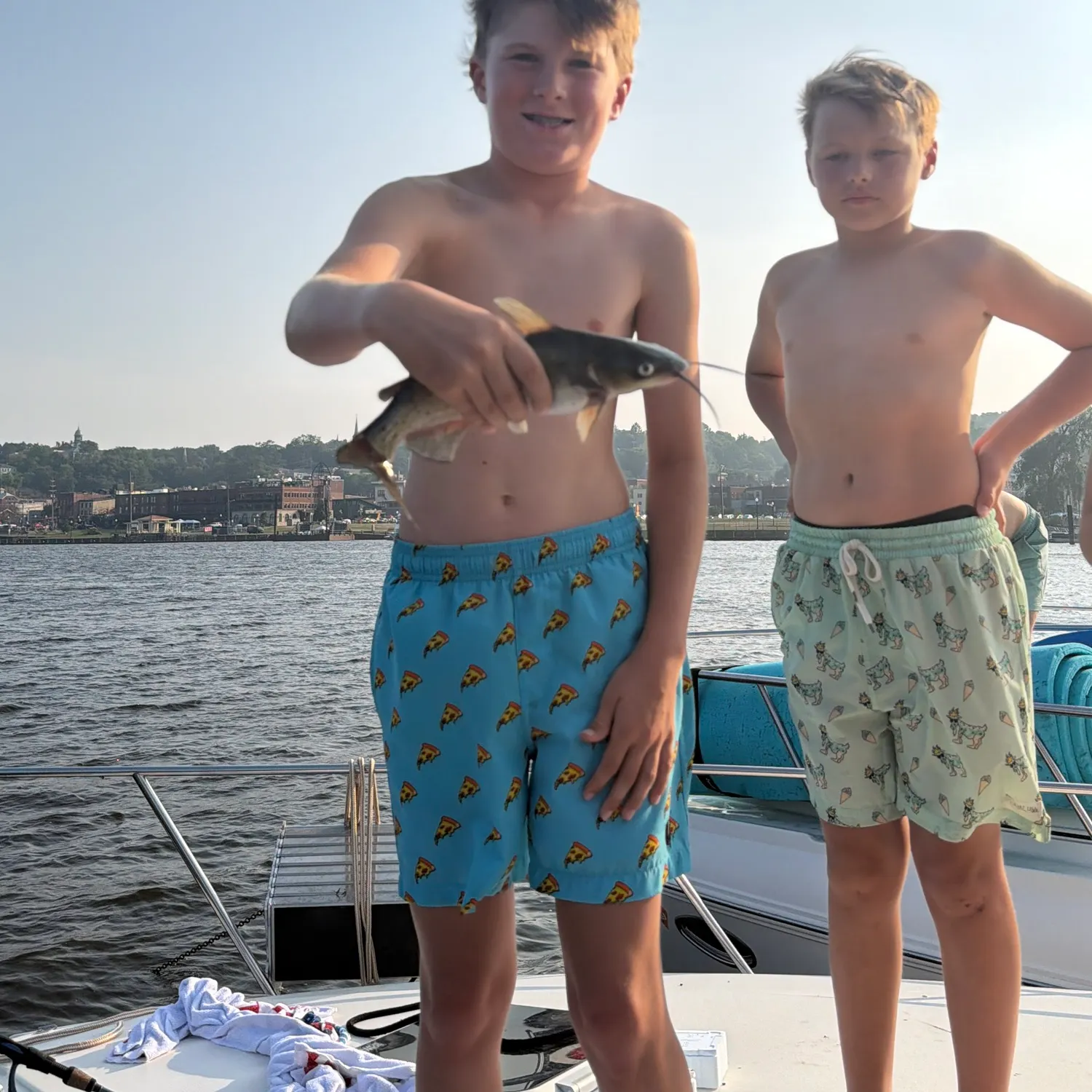 The most recent Flathead catfish catches on Fishbrain