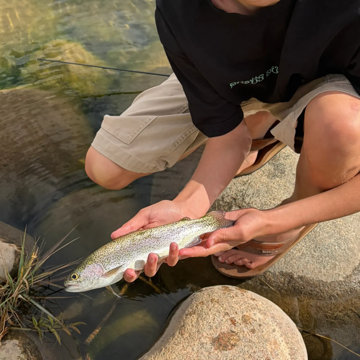 Rainbow trout caught on Fishbrain