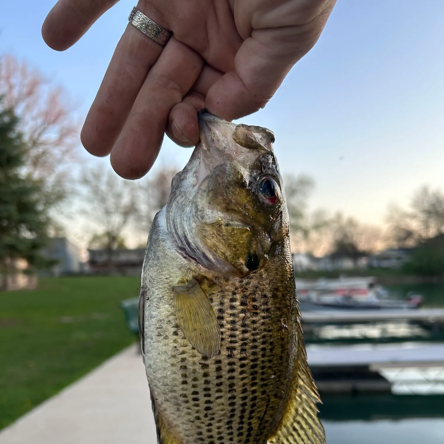 catch
