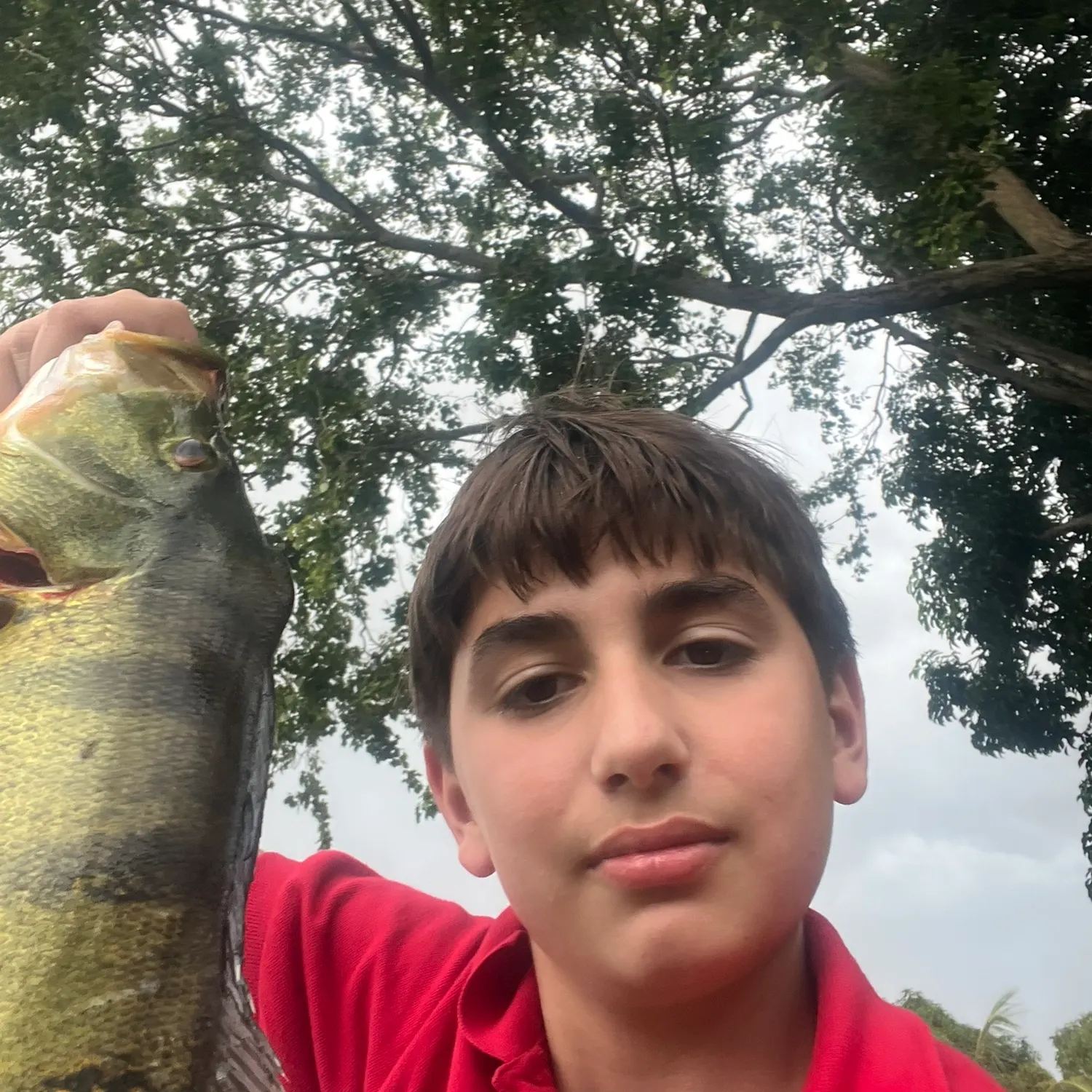 Fish caught on Fishbrain