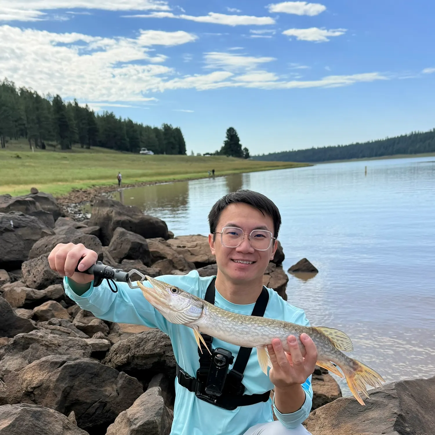 Northern pike caught on Fishbrain