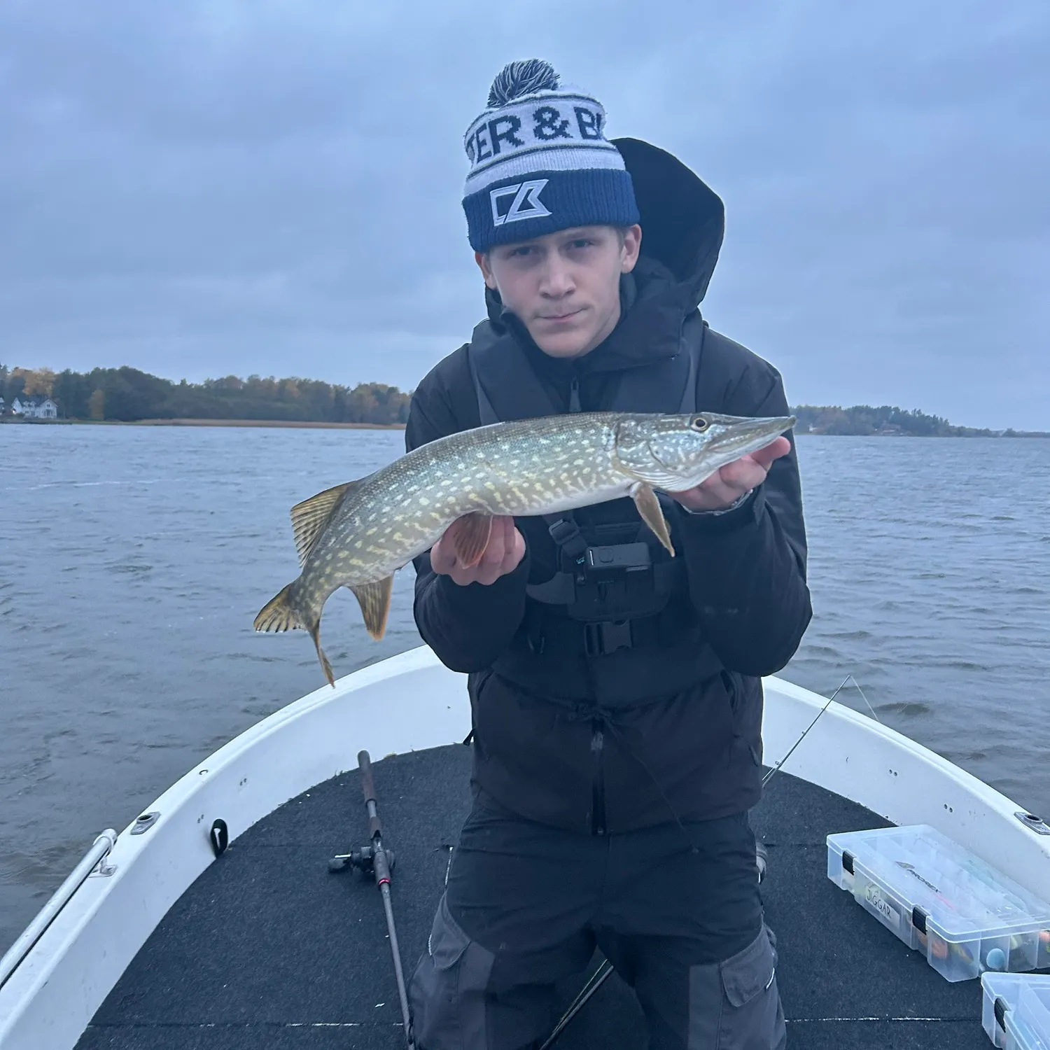 Northern pike caught on Fishbrain
