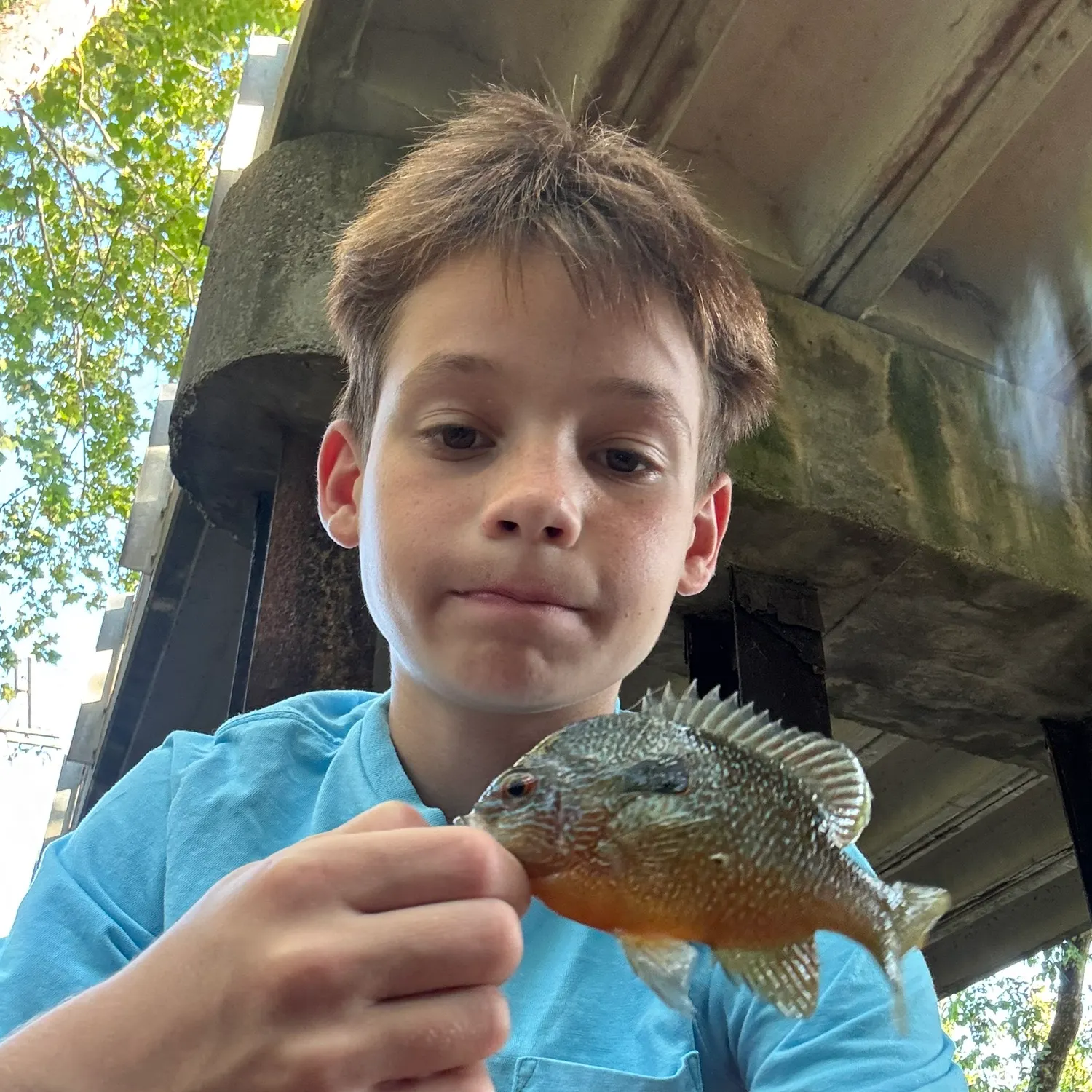 The most recent Longear sunfish catches on Fishbrain