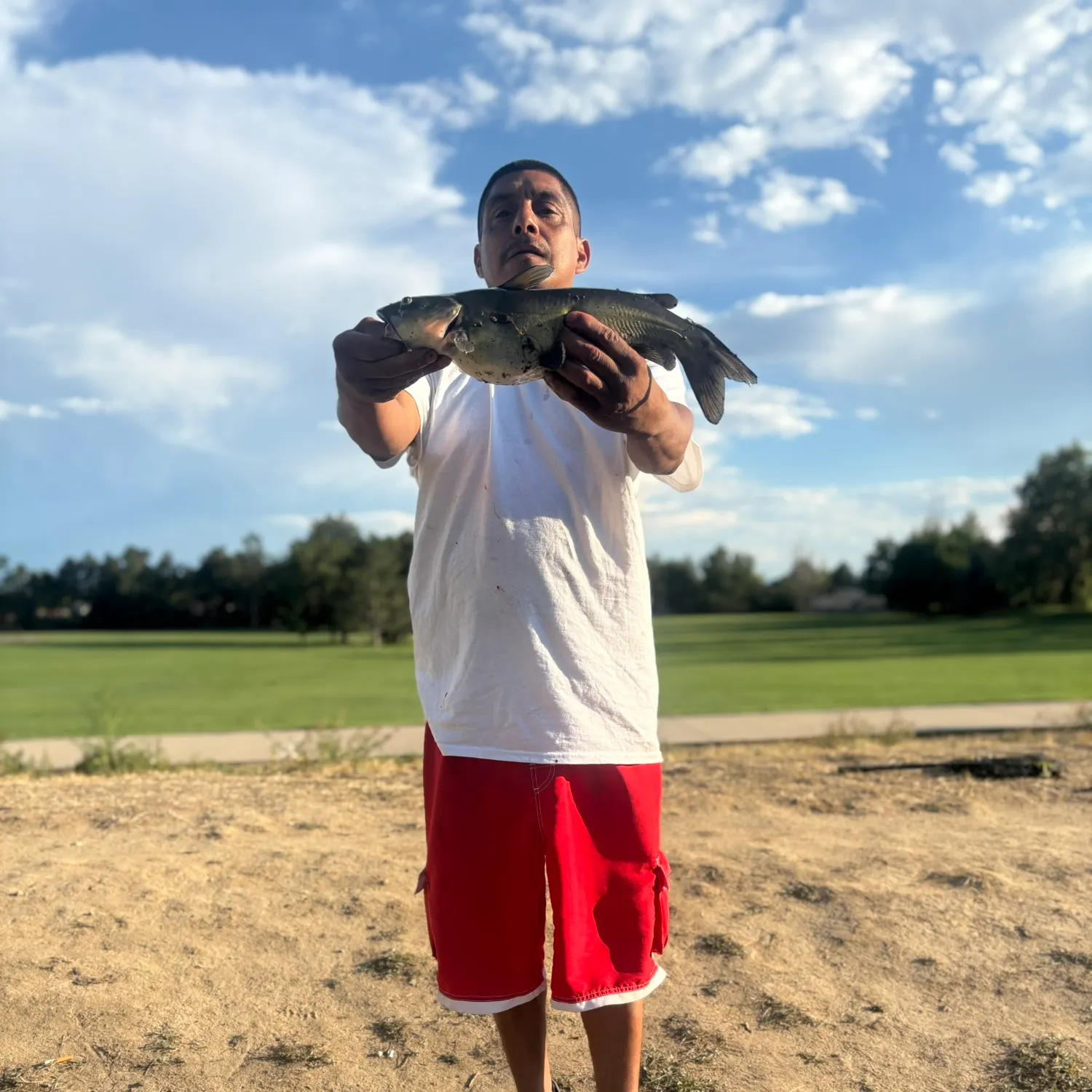 Channel catfish caught on Fishbrain