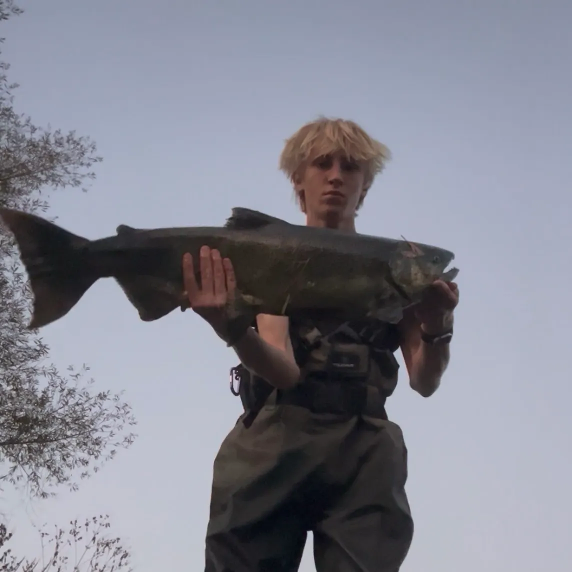 Chinook salmon caught on Fishbrain