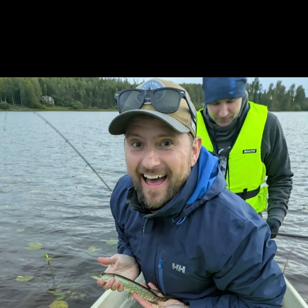Northern pike caught on Fishbrain