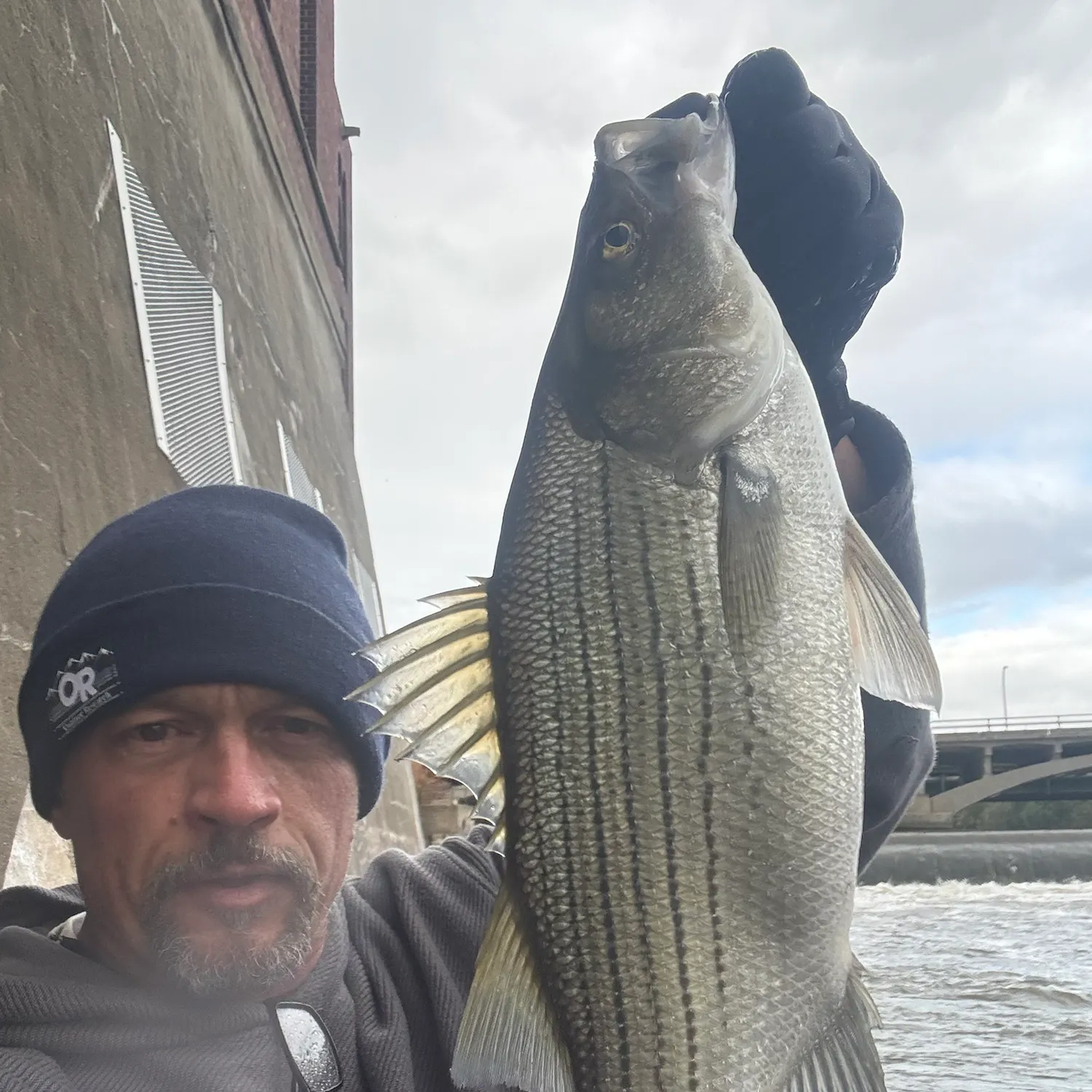 Wiper caught on Fishbrain