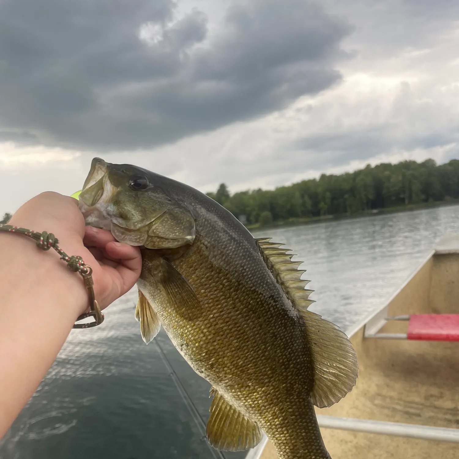 Smallmouth bass caught on Fishbrain