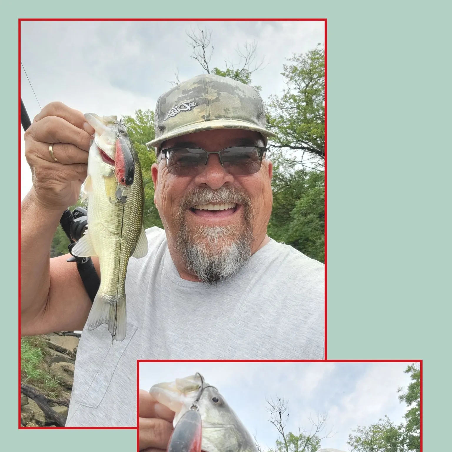 Largemouth bass caught on Fishbrain