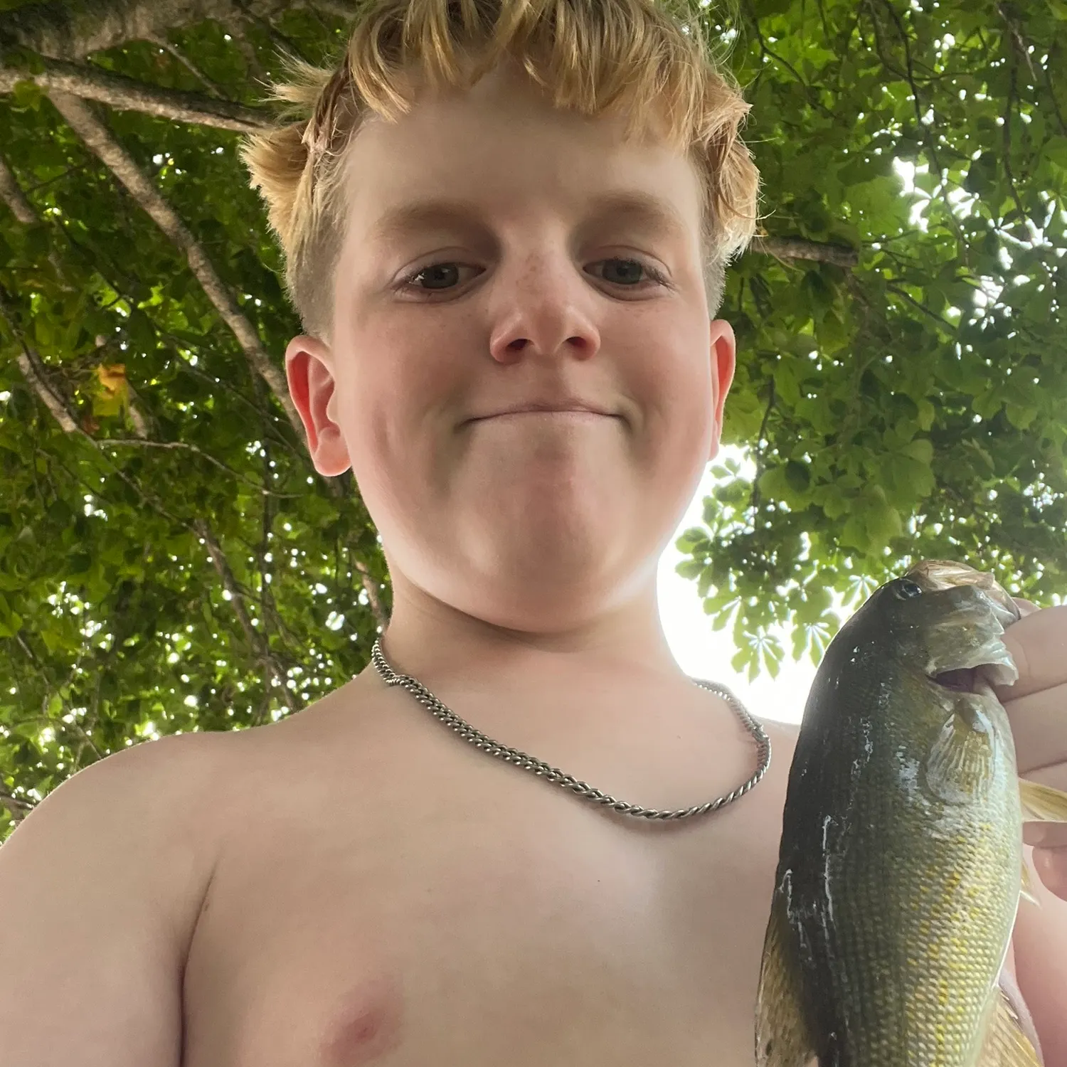 Smallmouth bass caught on Fishbrain