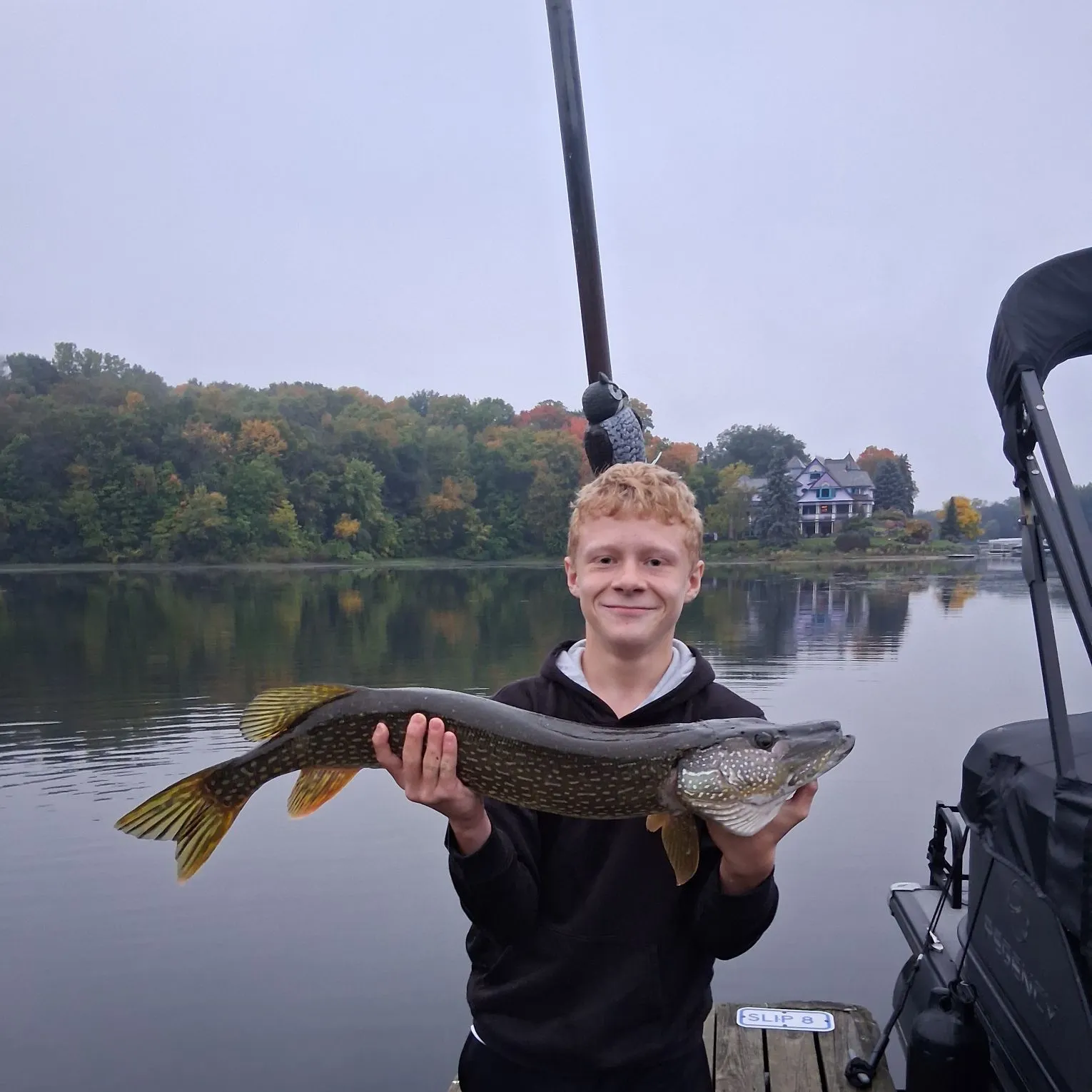 Northern pike caught on Fishbrain