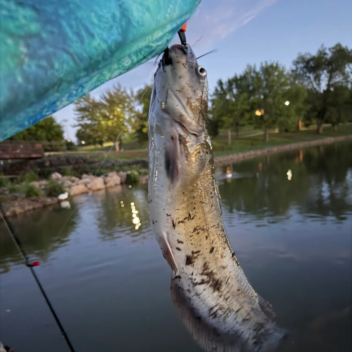 catch