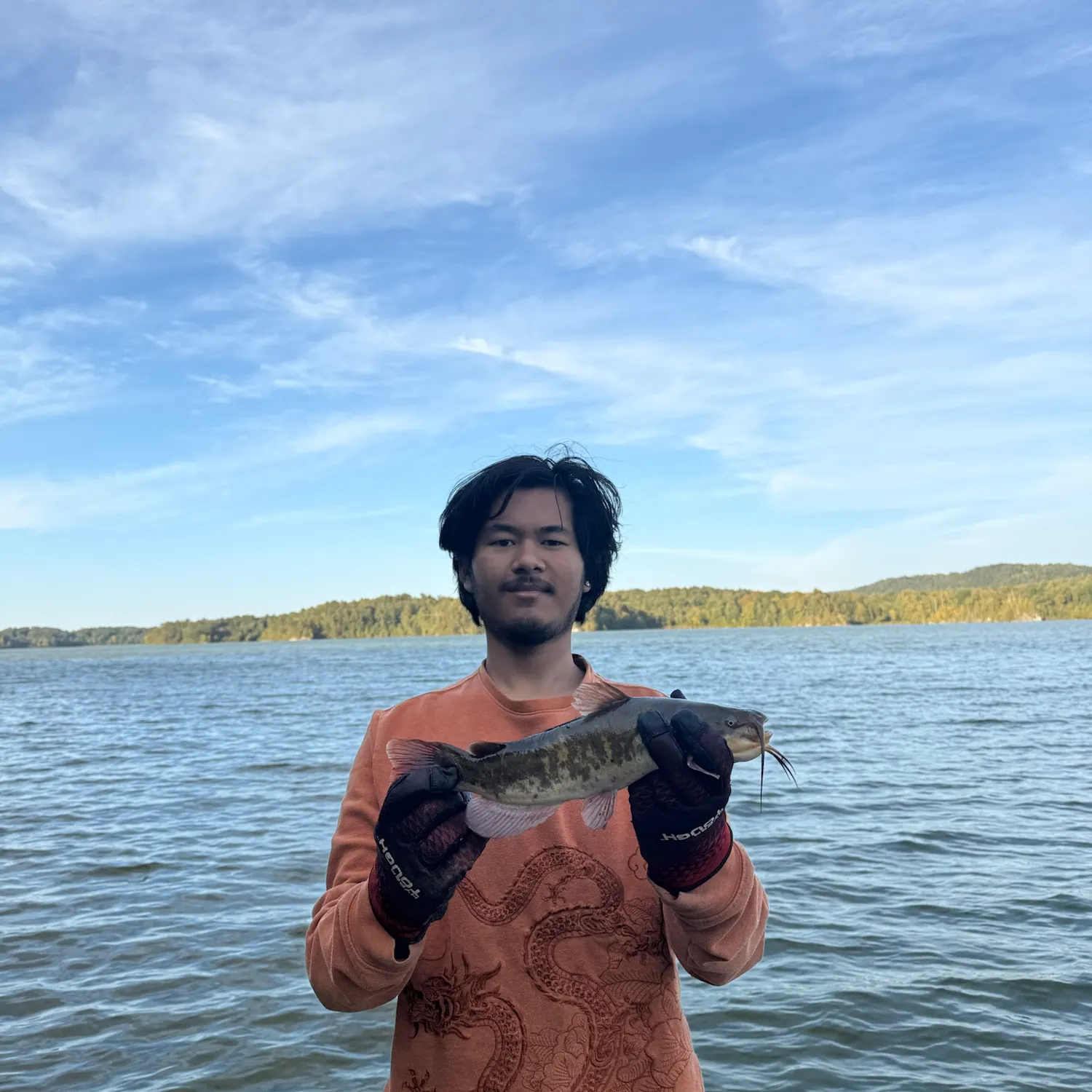 Brown bullhead caught on Fishbrain