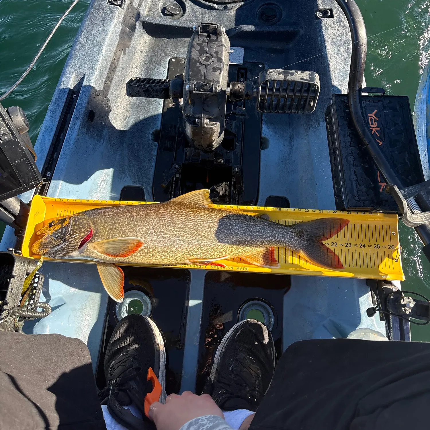 Lake char caught on Fishbrain