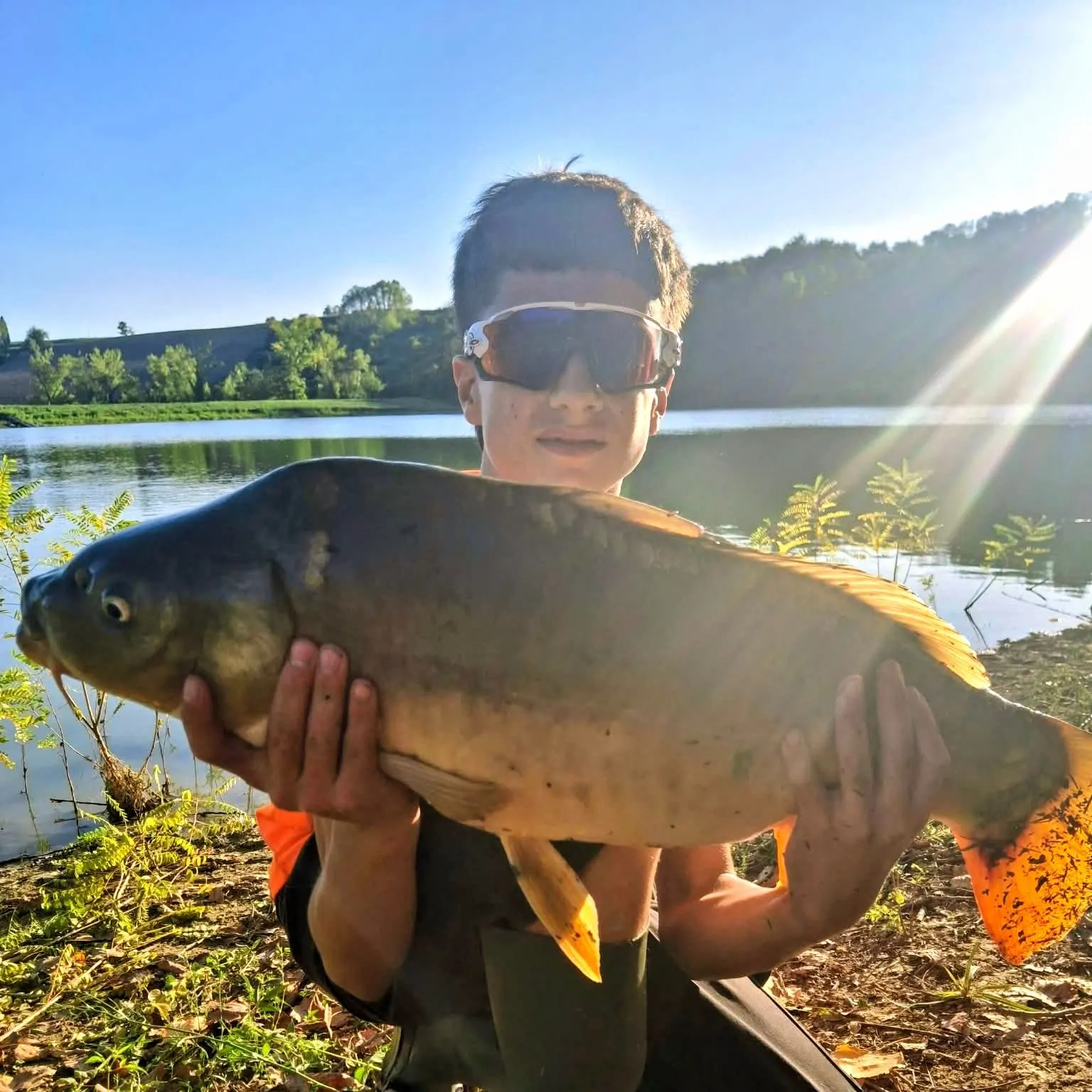 Leather carp caught on Fishbrain