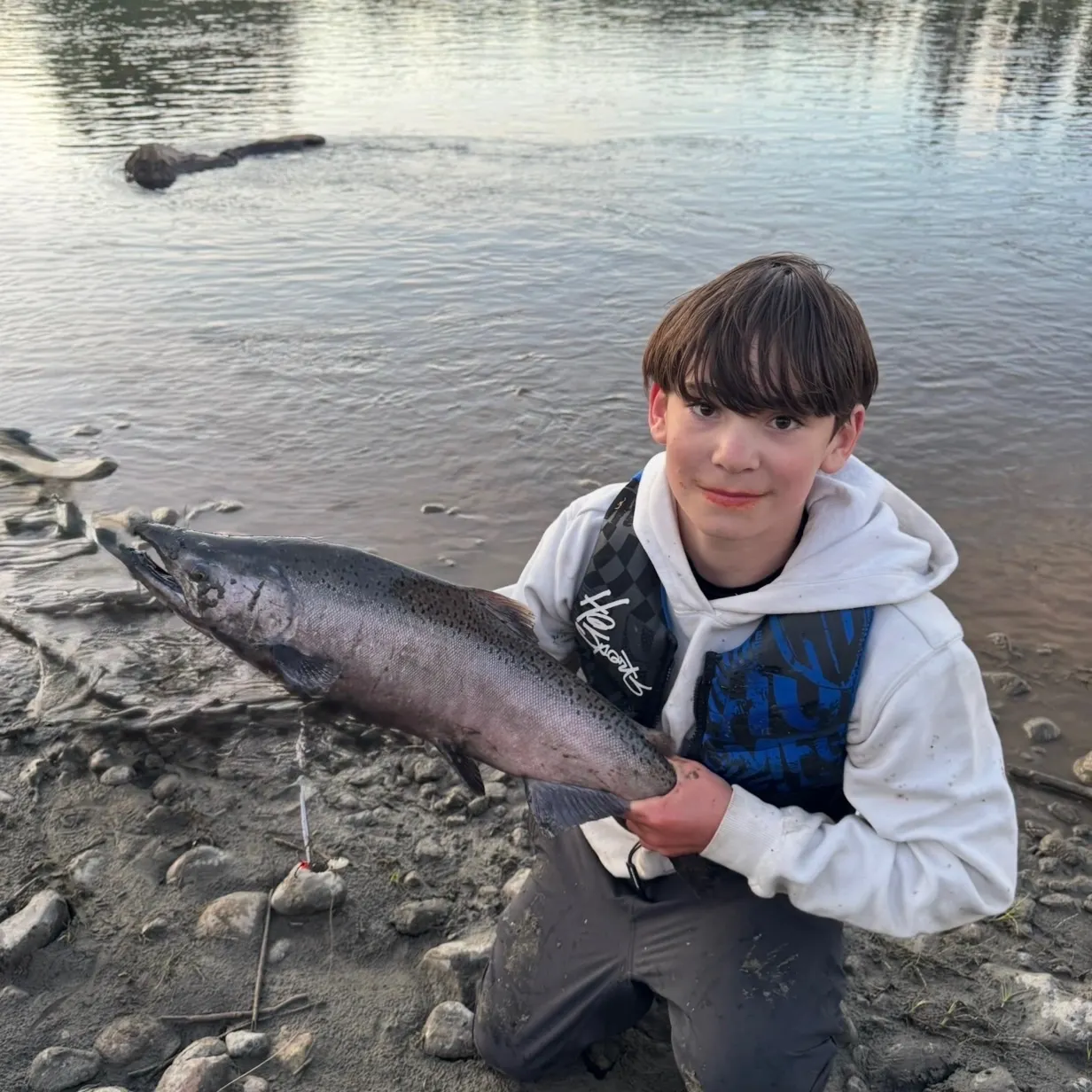 Chinook salmon caught on Fishbrain