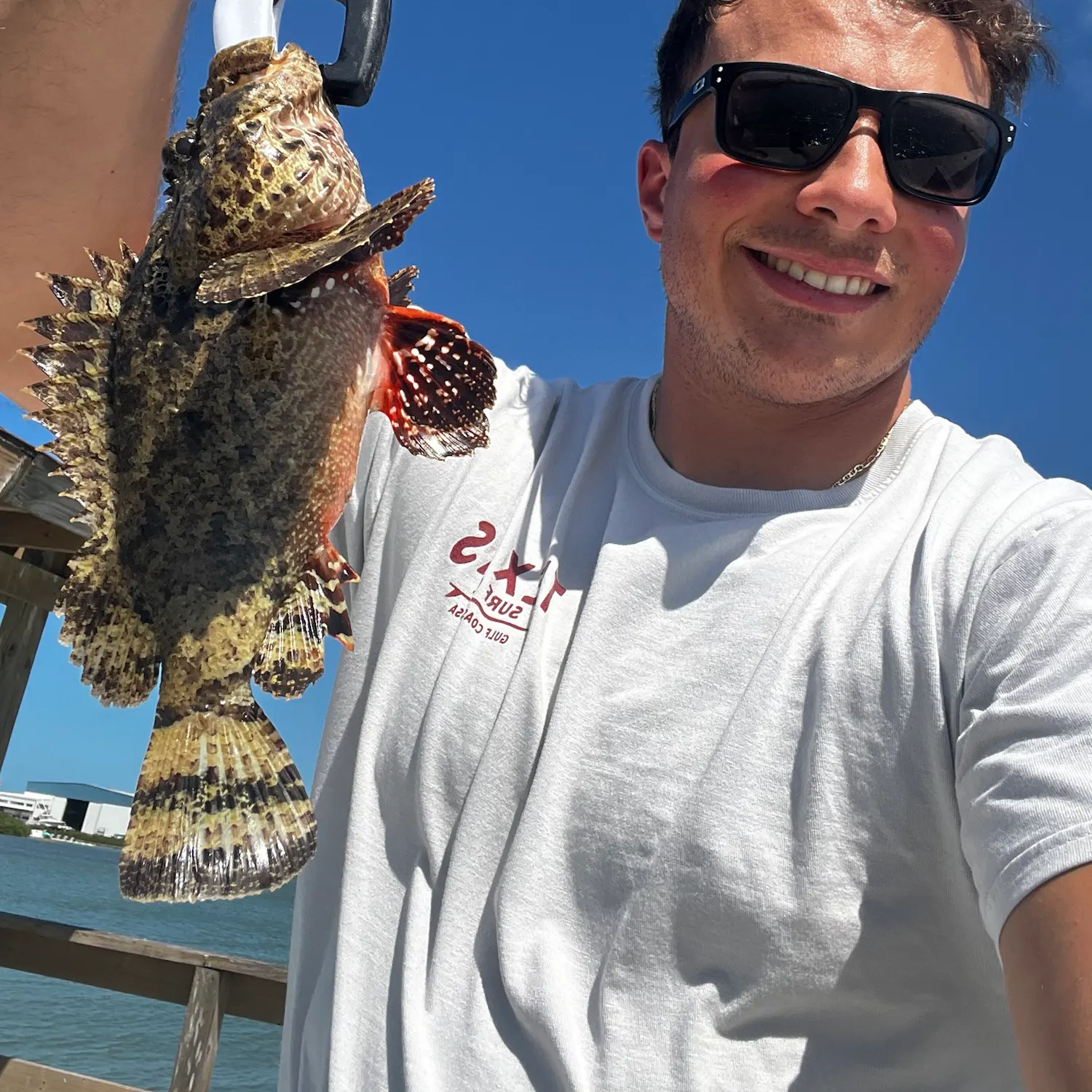Spotted scorpionfish caught on Fishbrain