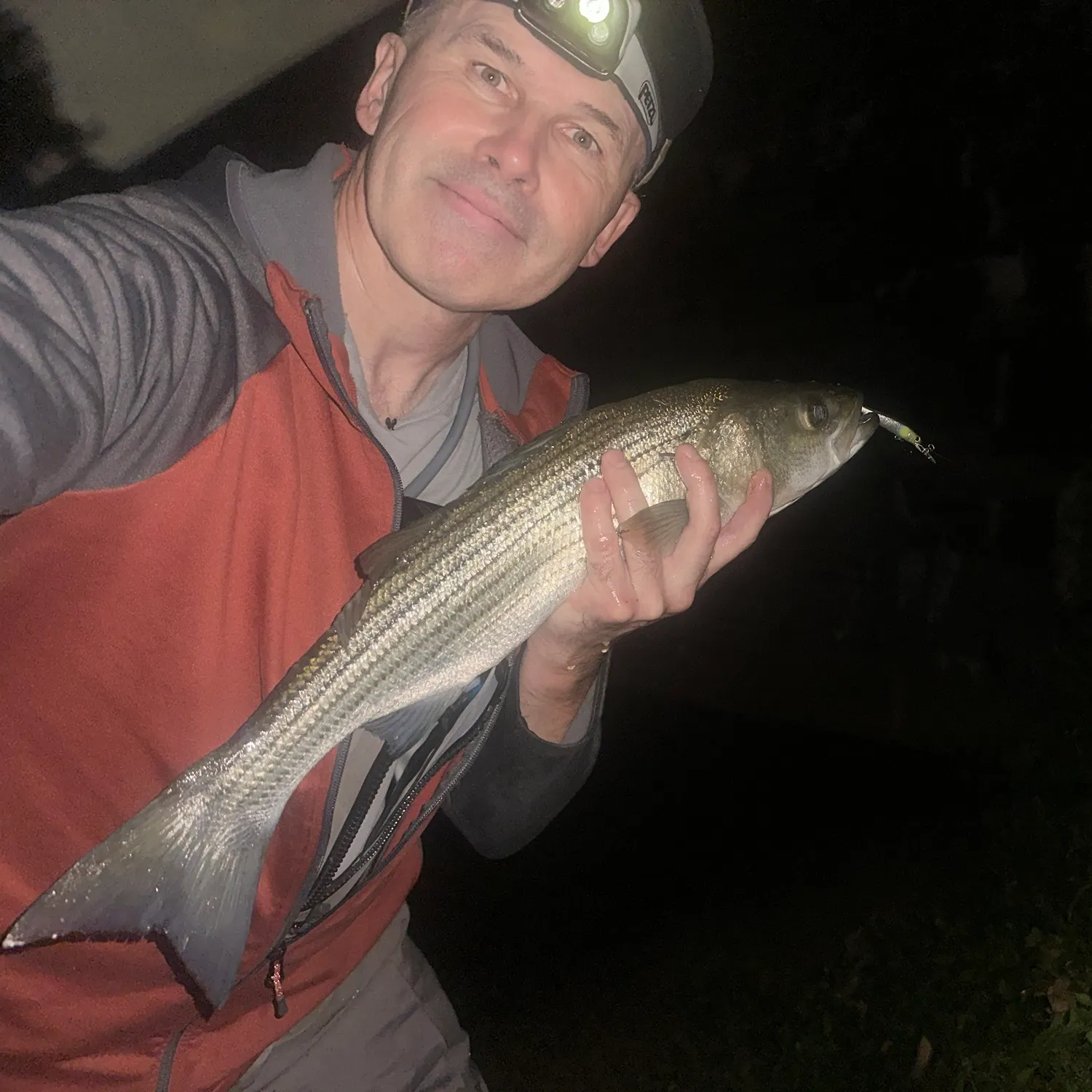 Striped bass caught on Fishbrain