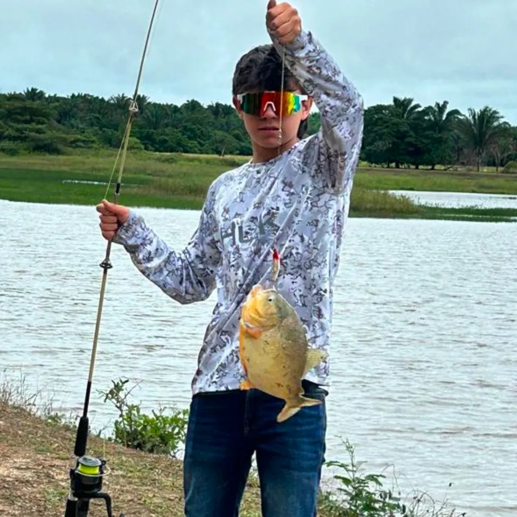 The most recent Small-scaled pacu catches on Fishbrain