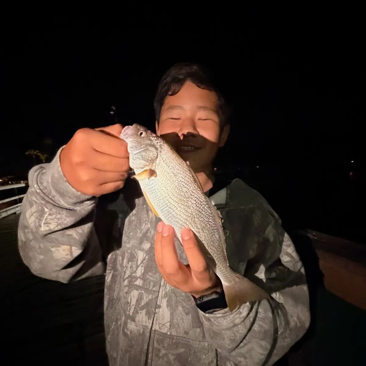 Yellowfin croaker caught on Fishbrain