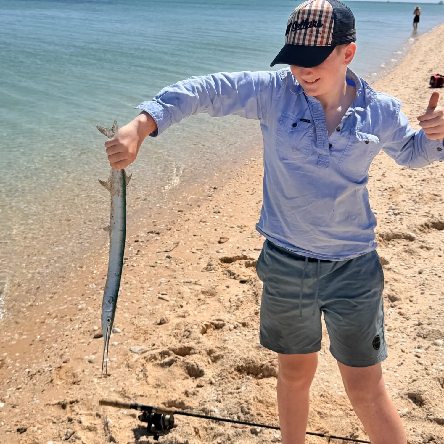 The most recent Flat needlefish catches on Fishbrain
