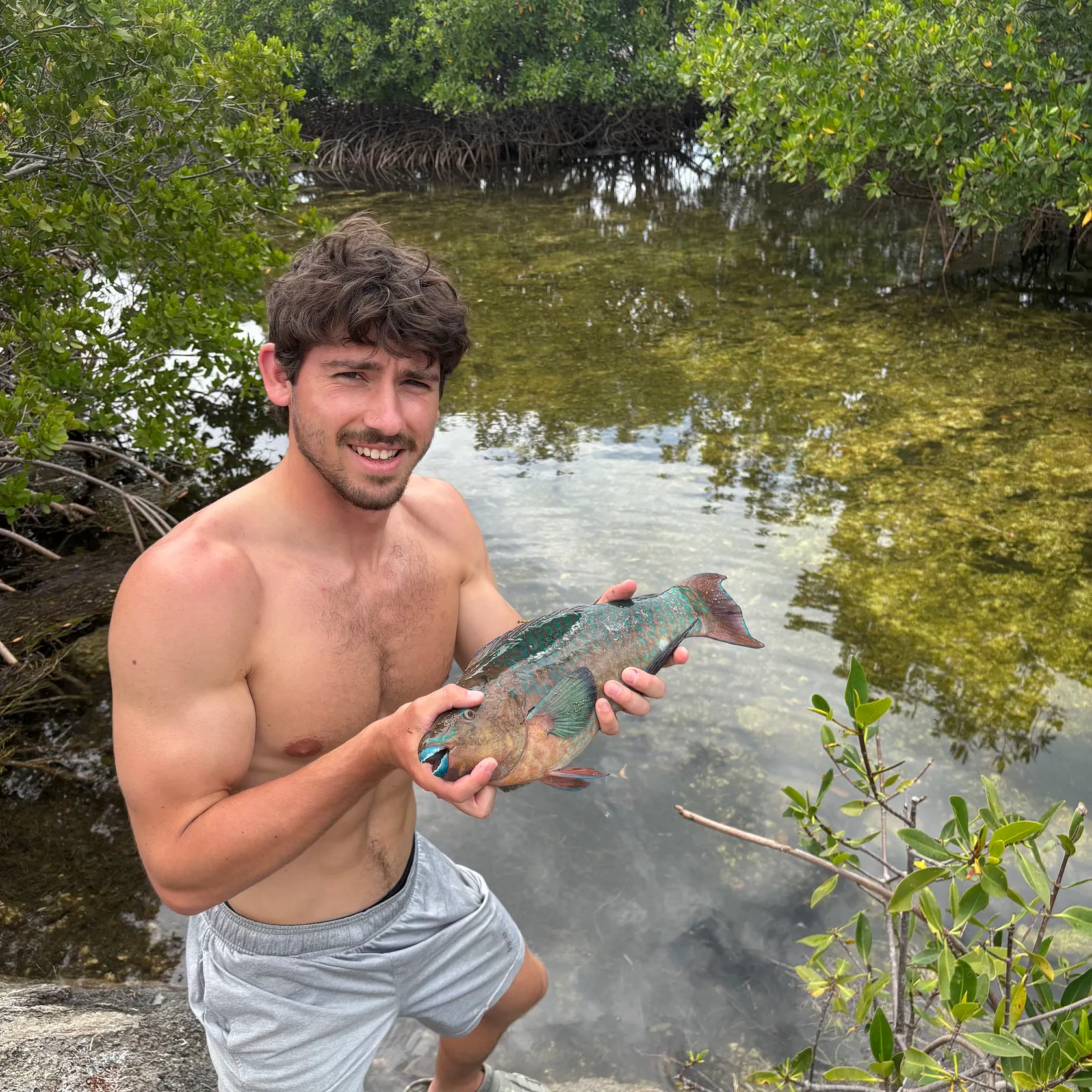 The most recent Rainbow parrotfish catches on Fishbrain