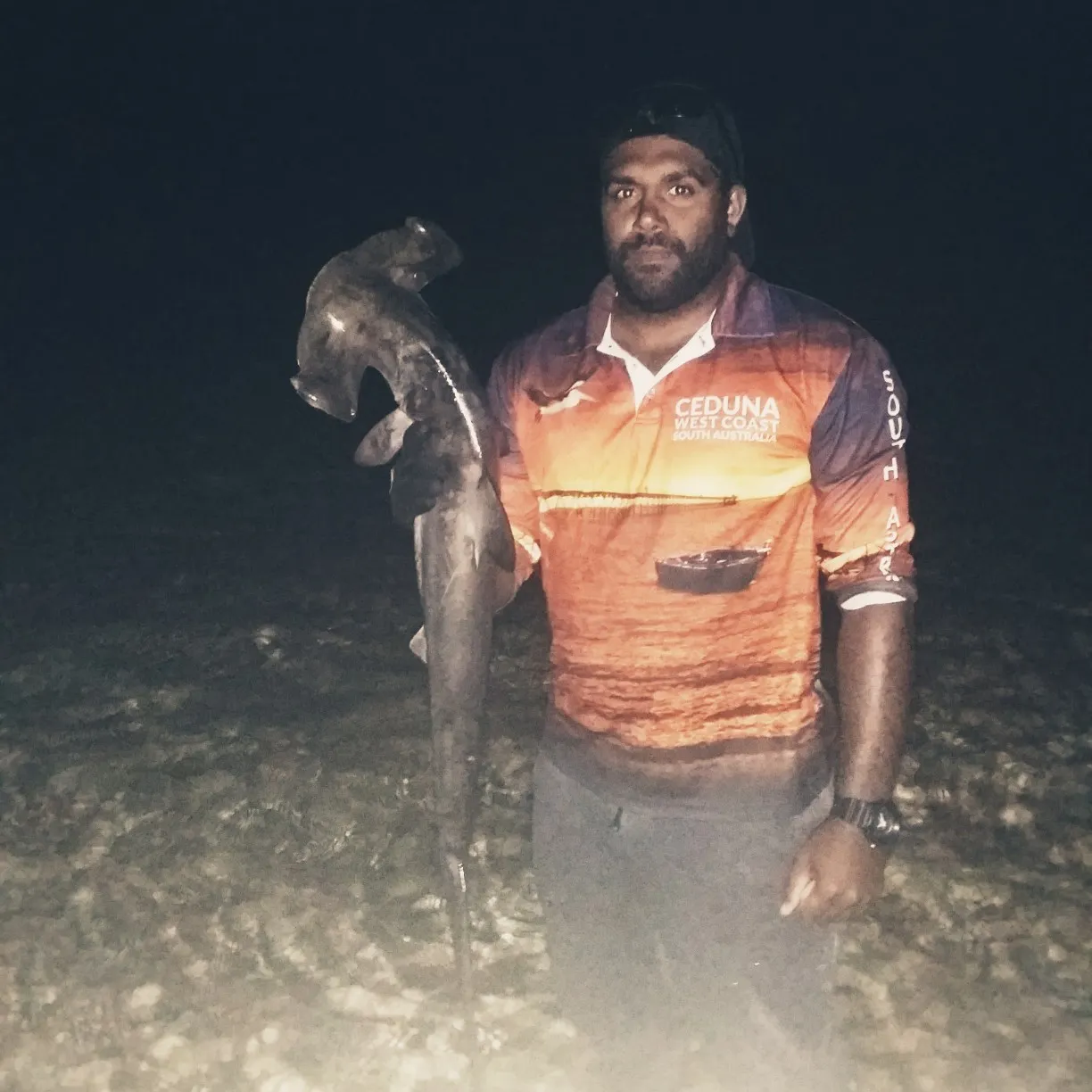 Scalloped hammerhead shark caught on Fishbrain