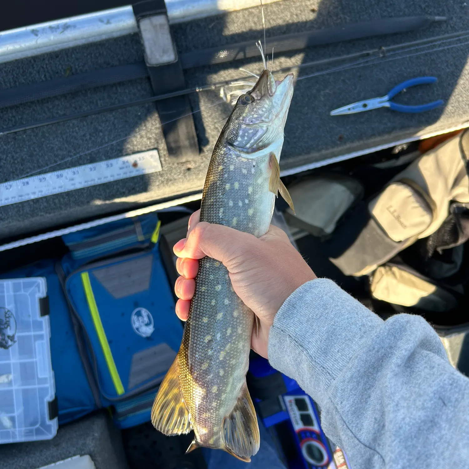 catch