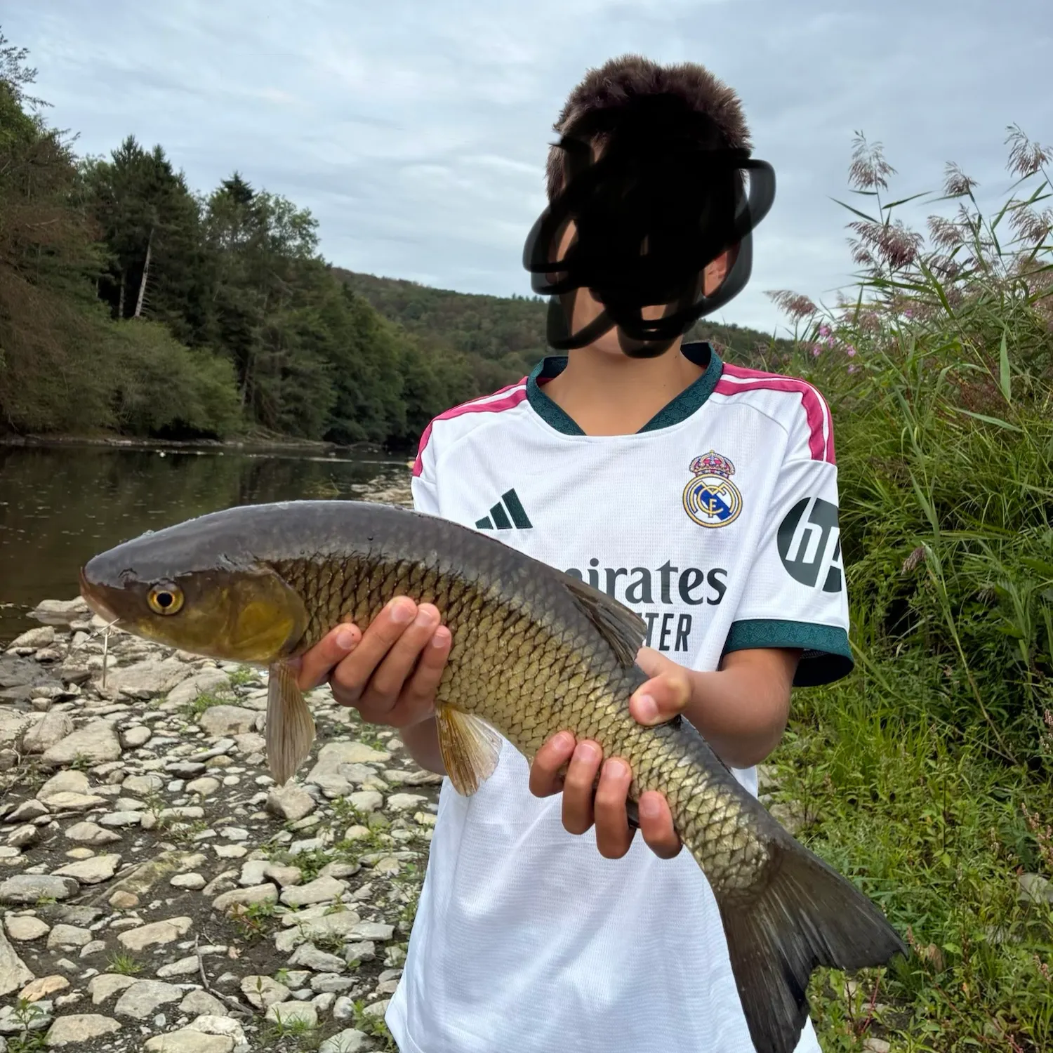 European chub caught on Fishbrain