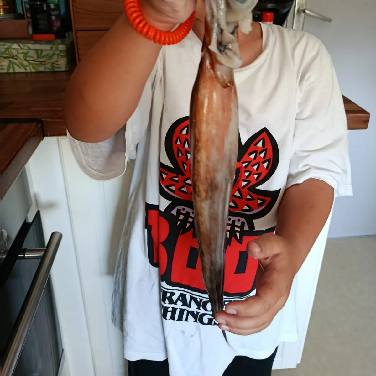 The most recent Common octopus catches on Fishbrain
