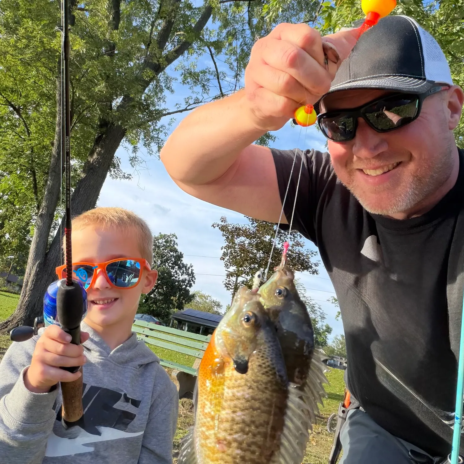 Bluegill caught on Fishbrain
