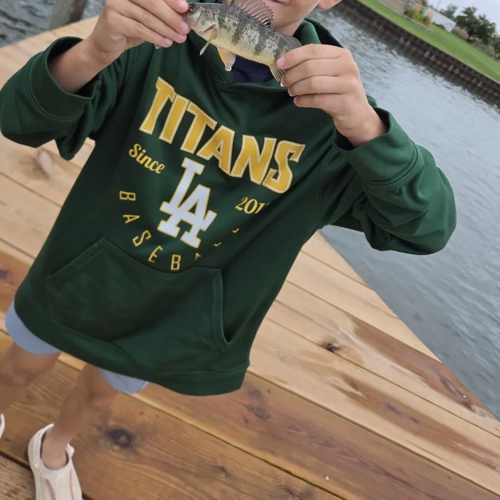Yellow perch caught on Fishbrain